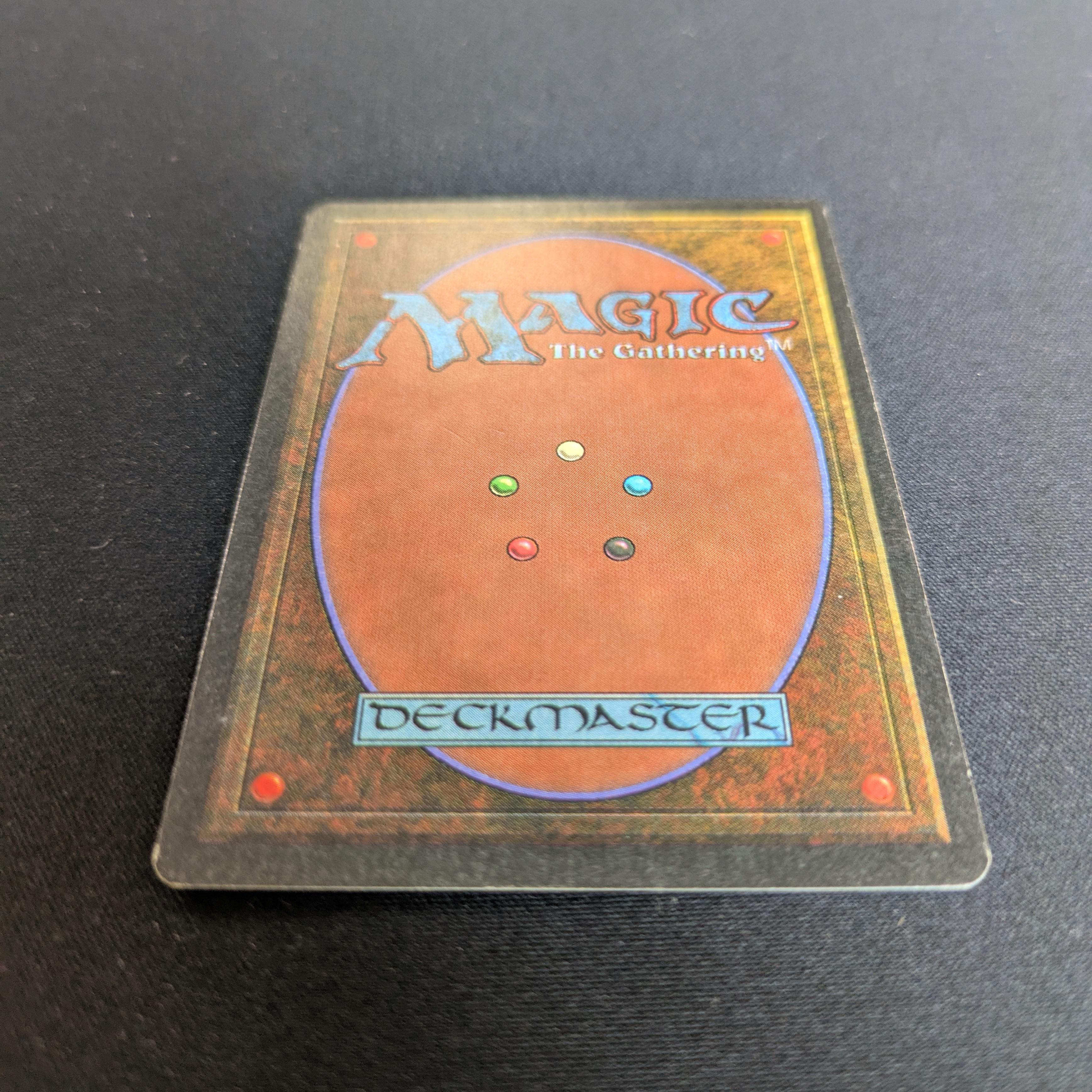 MTG Singles - Tundra - Revised - 