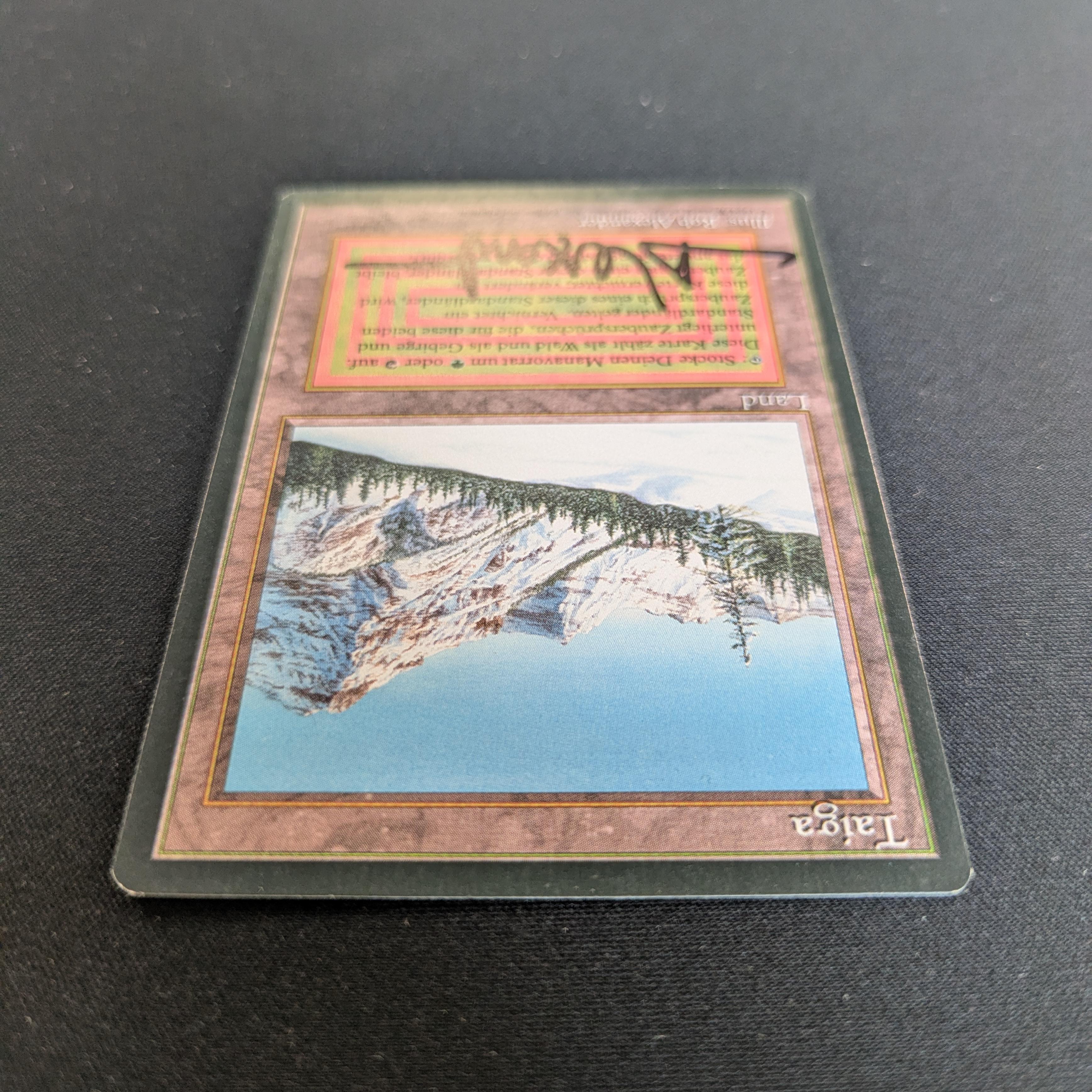MTG Singles - Taiga - Foreign Black Bordered - 