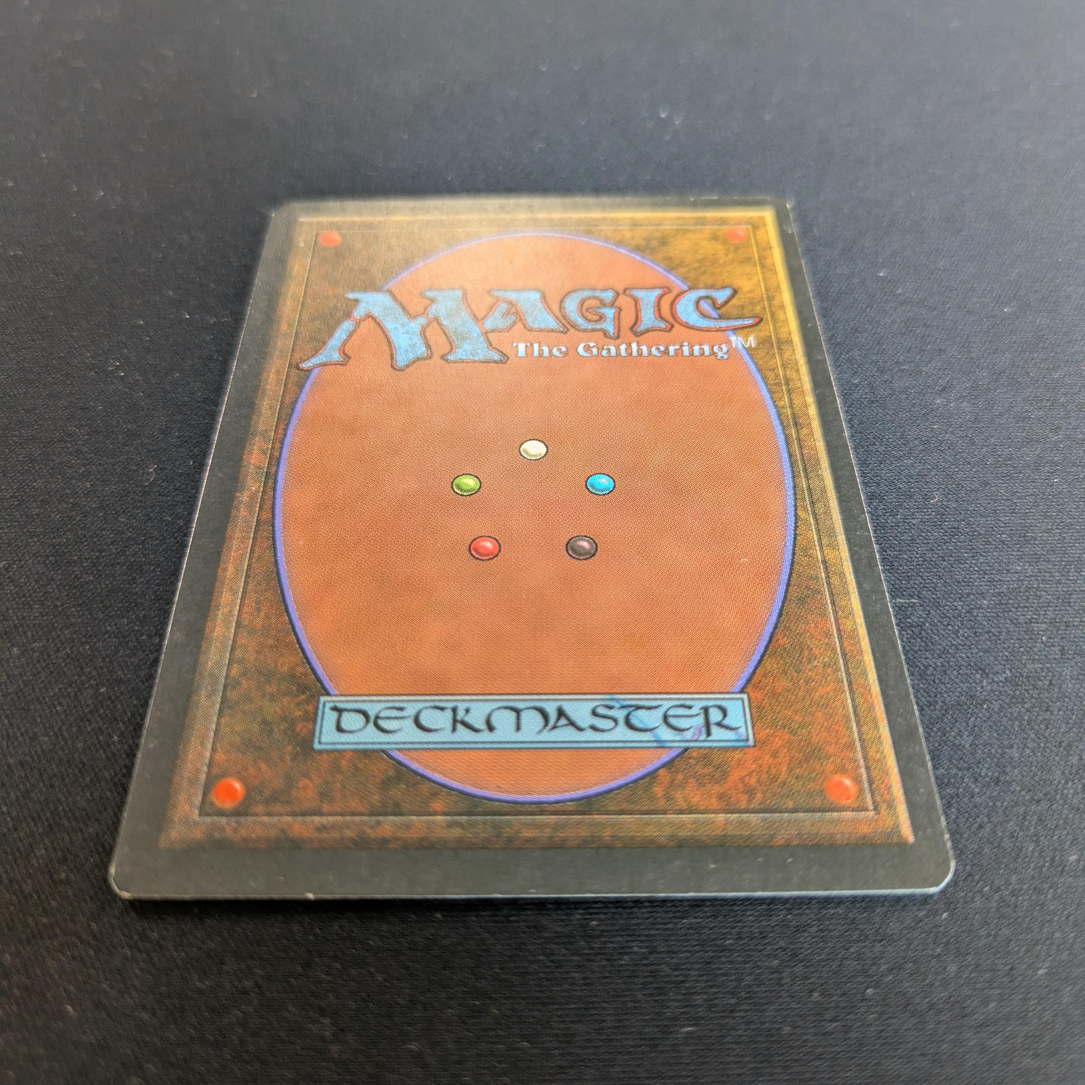 MTG Singles - Taiga - Foreign Black Bordered - 