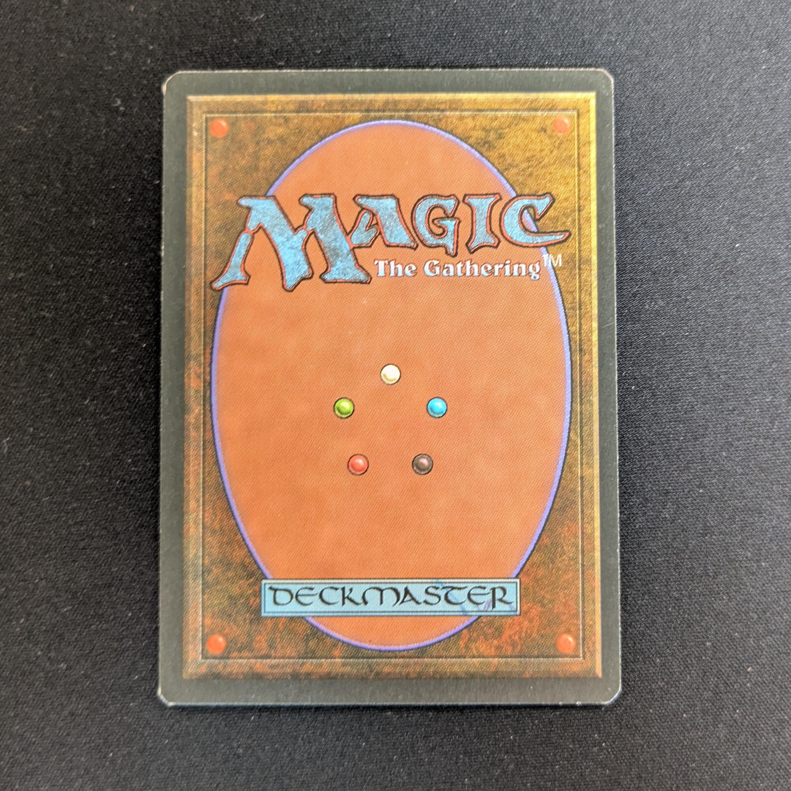 MTG Singles - Taiga - Foreign Black Bordered - 