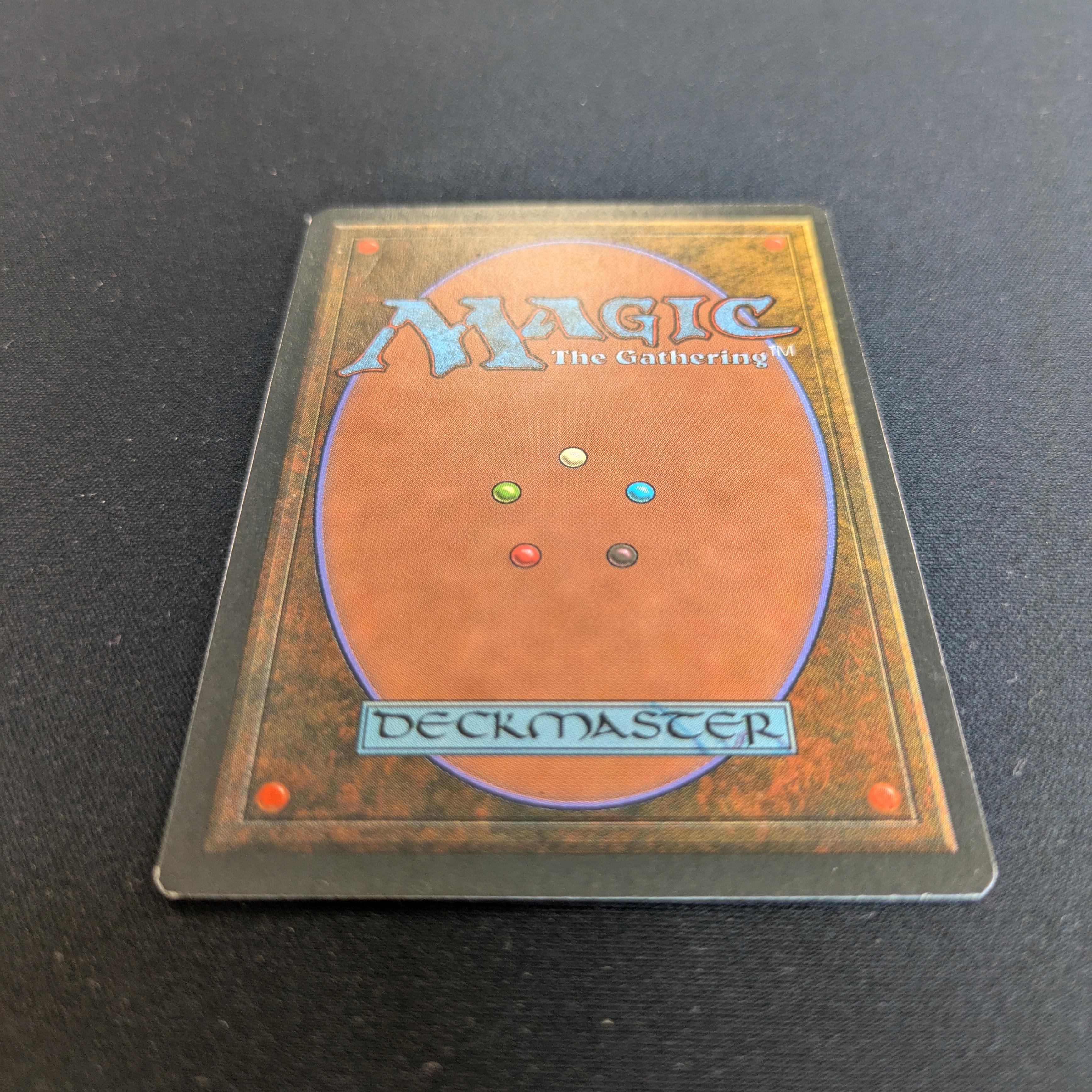 MTG Singles - Taiga - Foreign Black Bordered - 