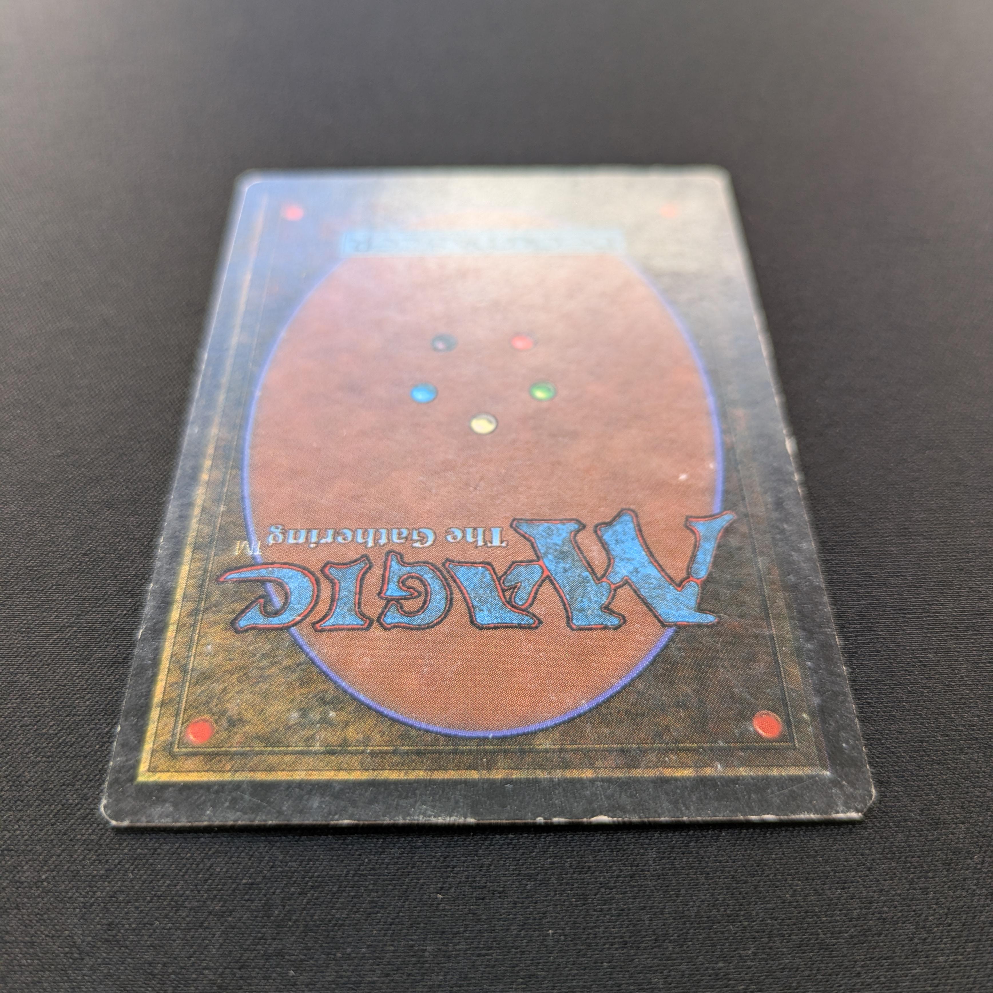 MTG Singles - Bayou - Revised - 