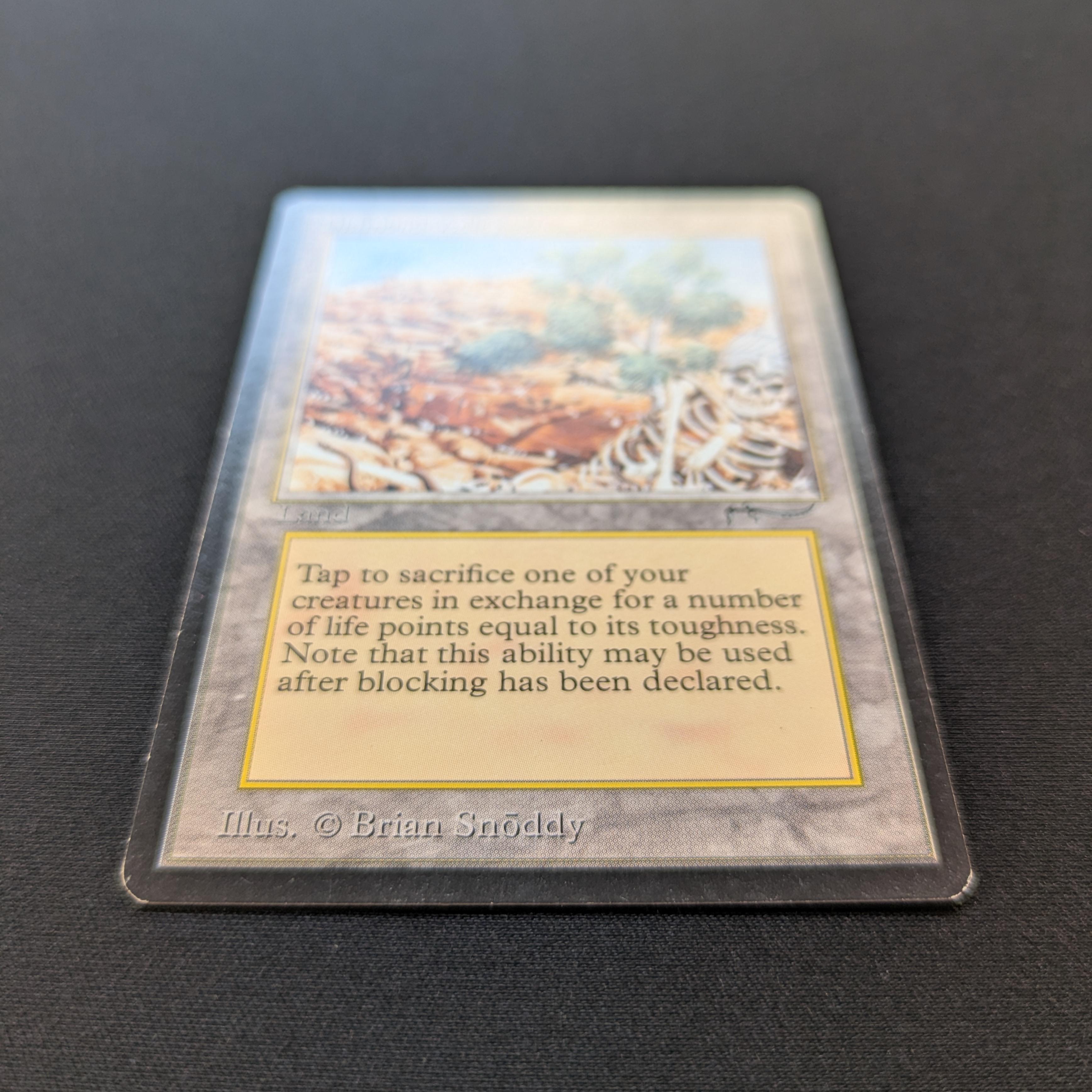 MTG Singles - Diamond Valley - Arabian Nights - 