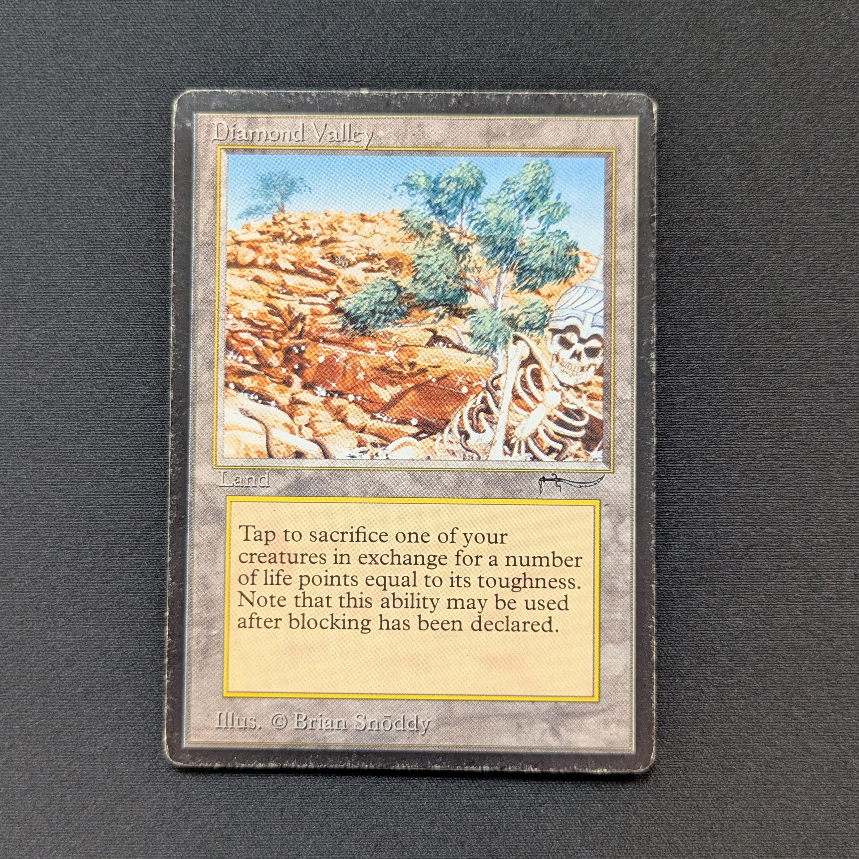 MTG Singles - Diamond Valley - Arabian Nights - PL - INKED - 28528