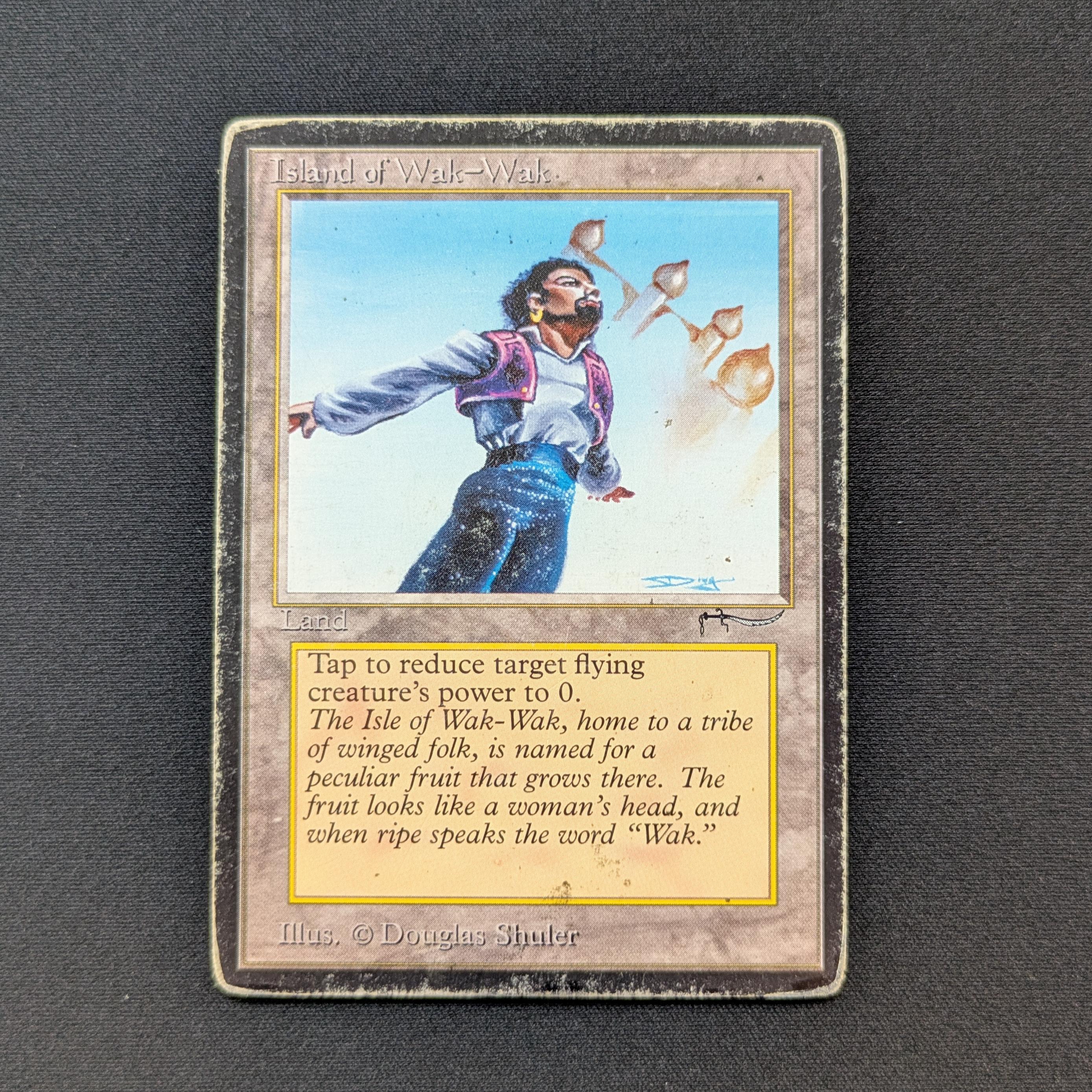 MTG Singles - Island of Wak-Wak - Arabian Nights - PO - INKED - 28540