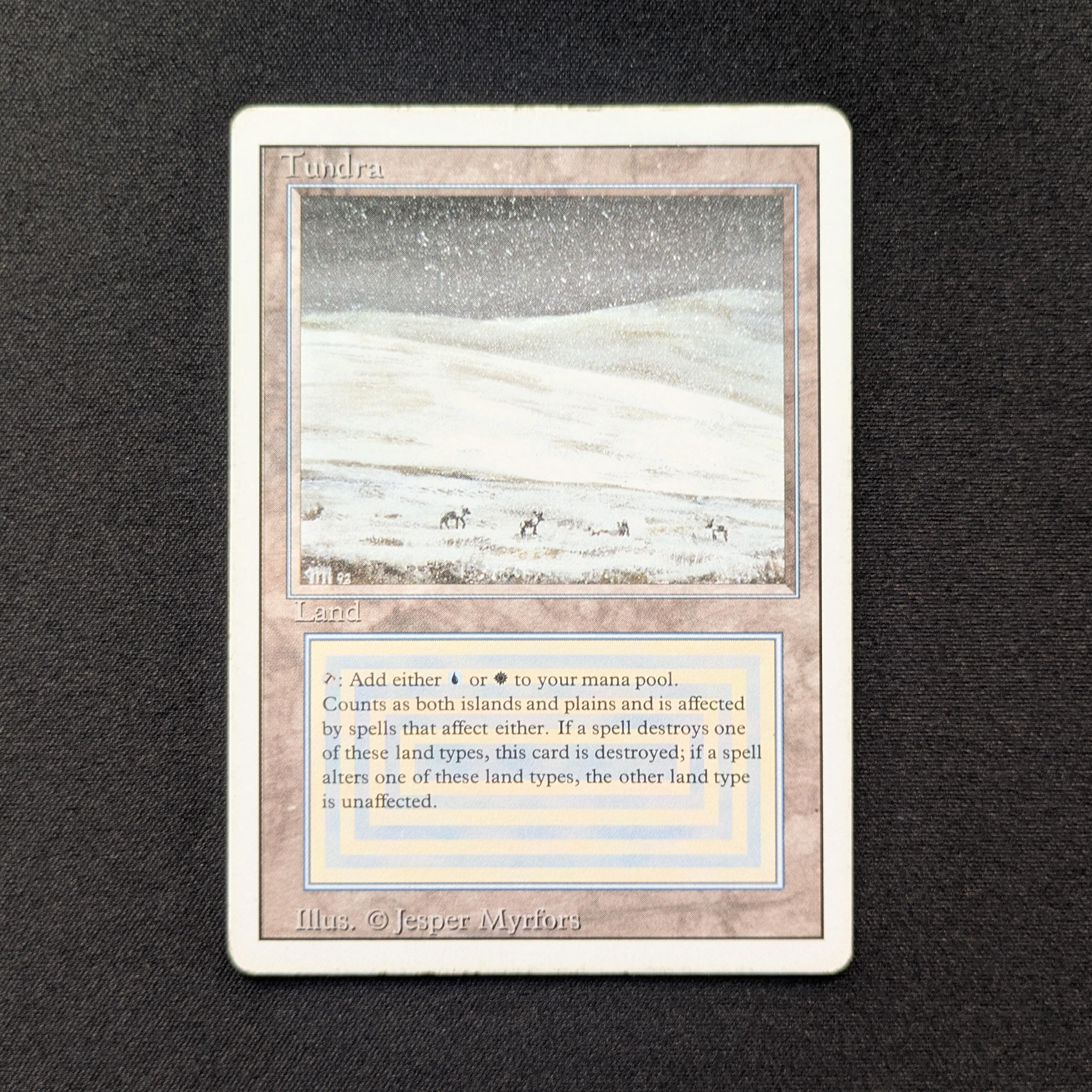 MTG Singles - Tundra - Revised - PL - 28586