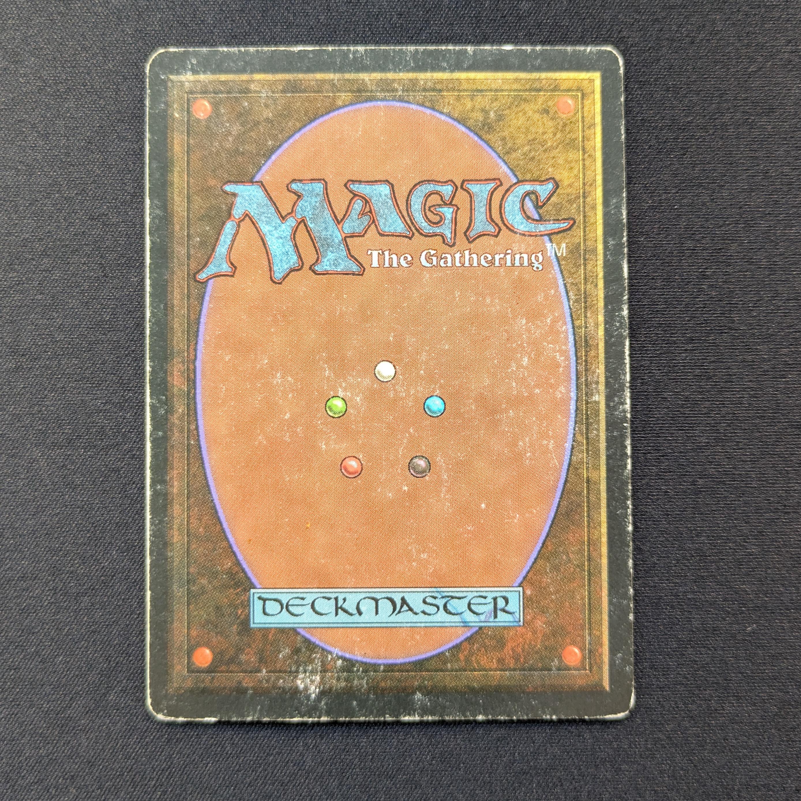 MTG Singles - Taiga - Revised - 
