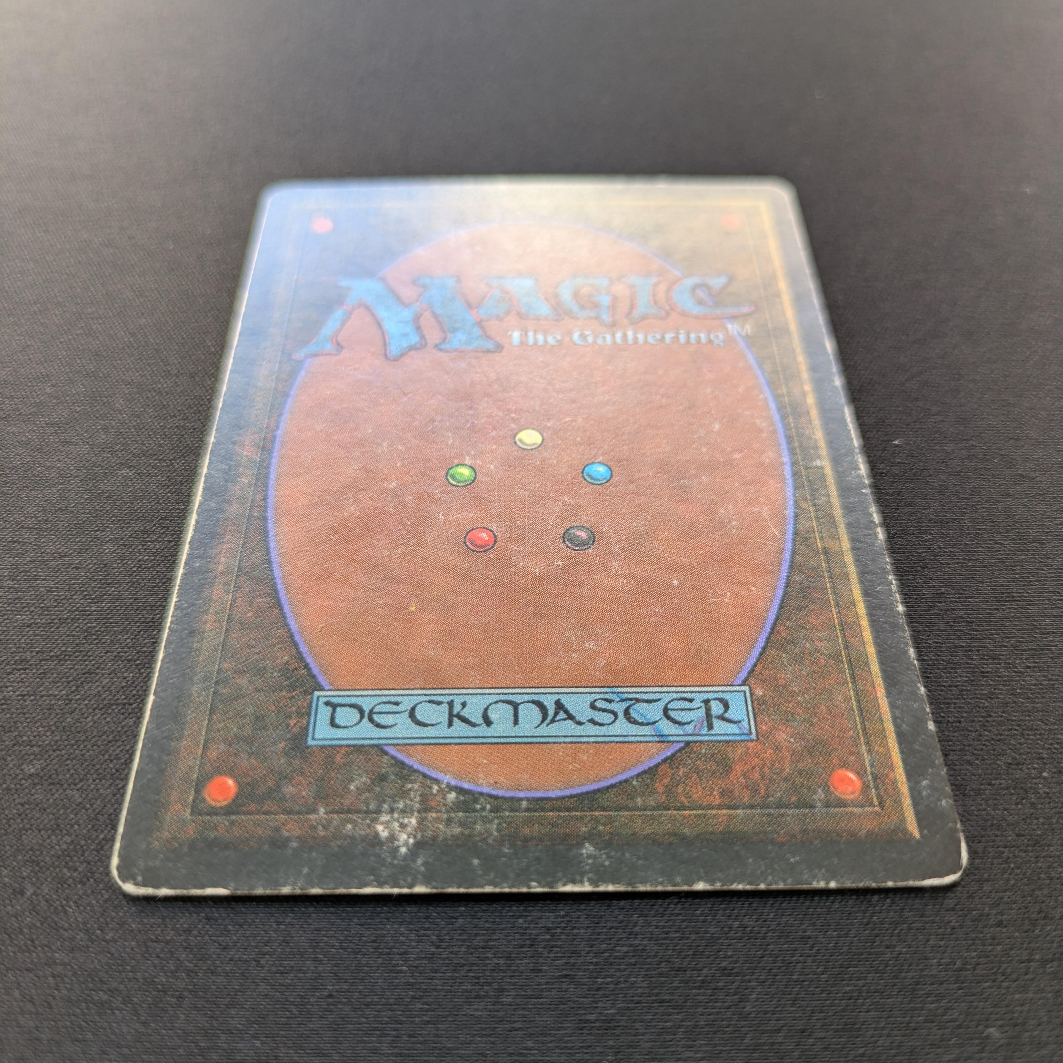 MTG Singles - Taiga - Revised - 