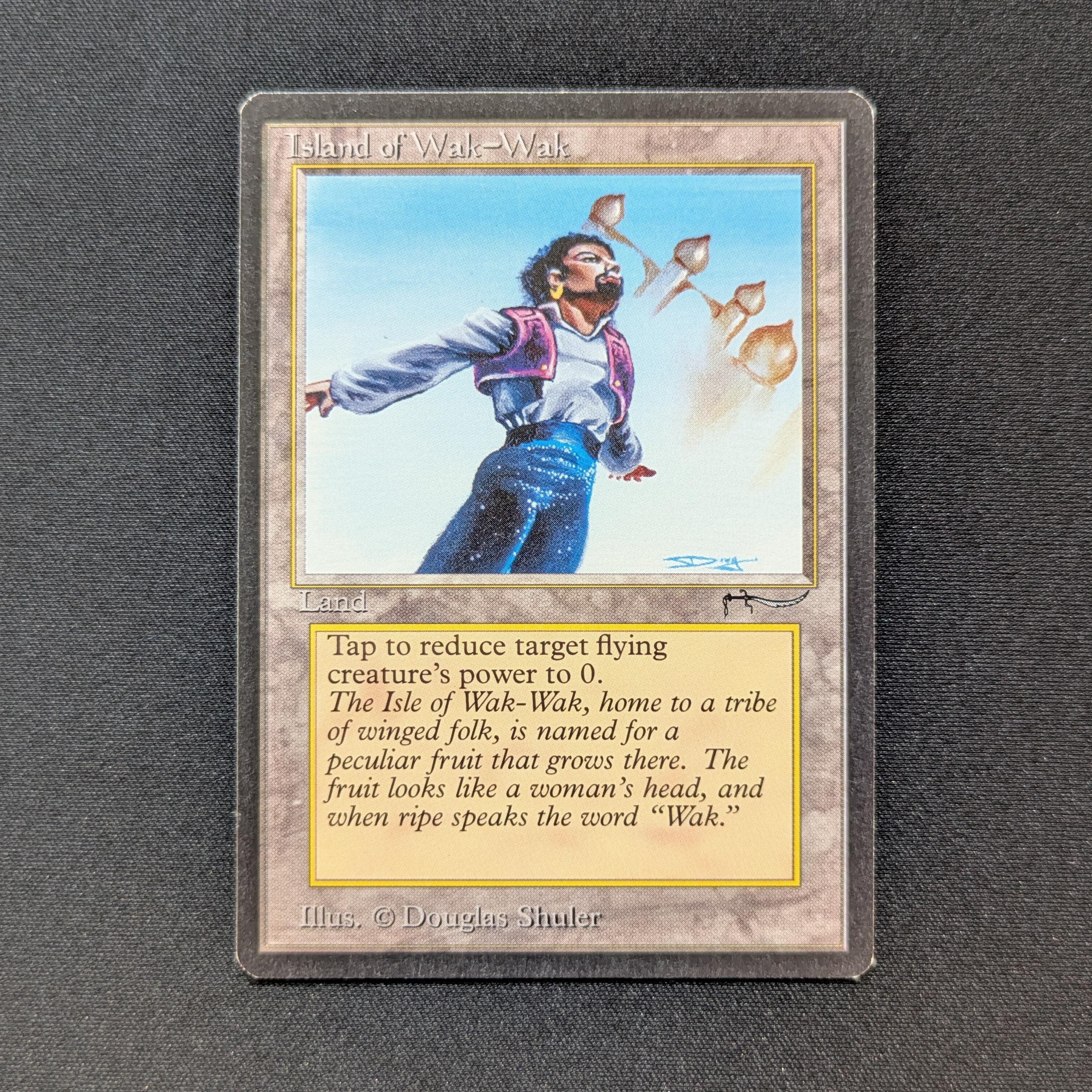 MTG Singles - Island of Wak-Wak - Arabian Nights - EX - 28599