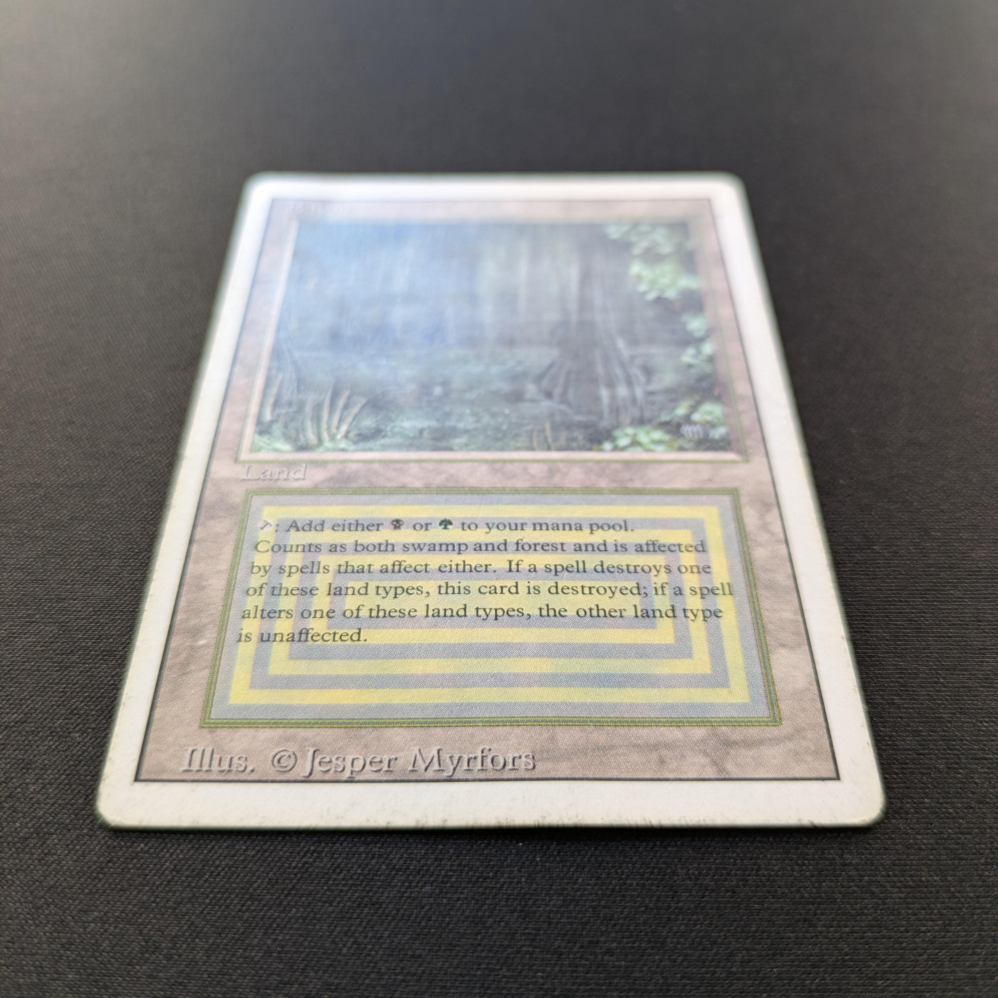 MTG Singles - Bayou - Revised - 