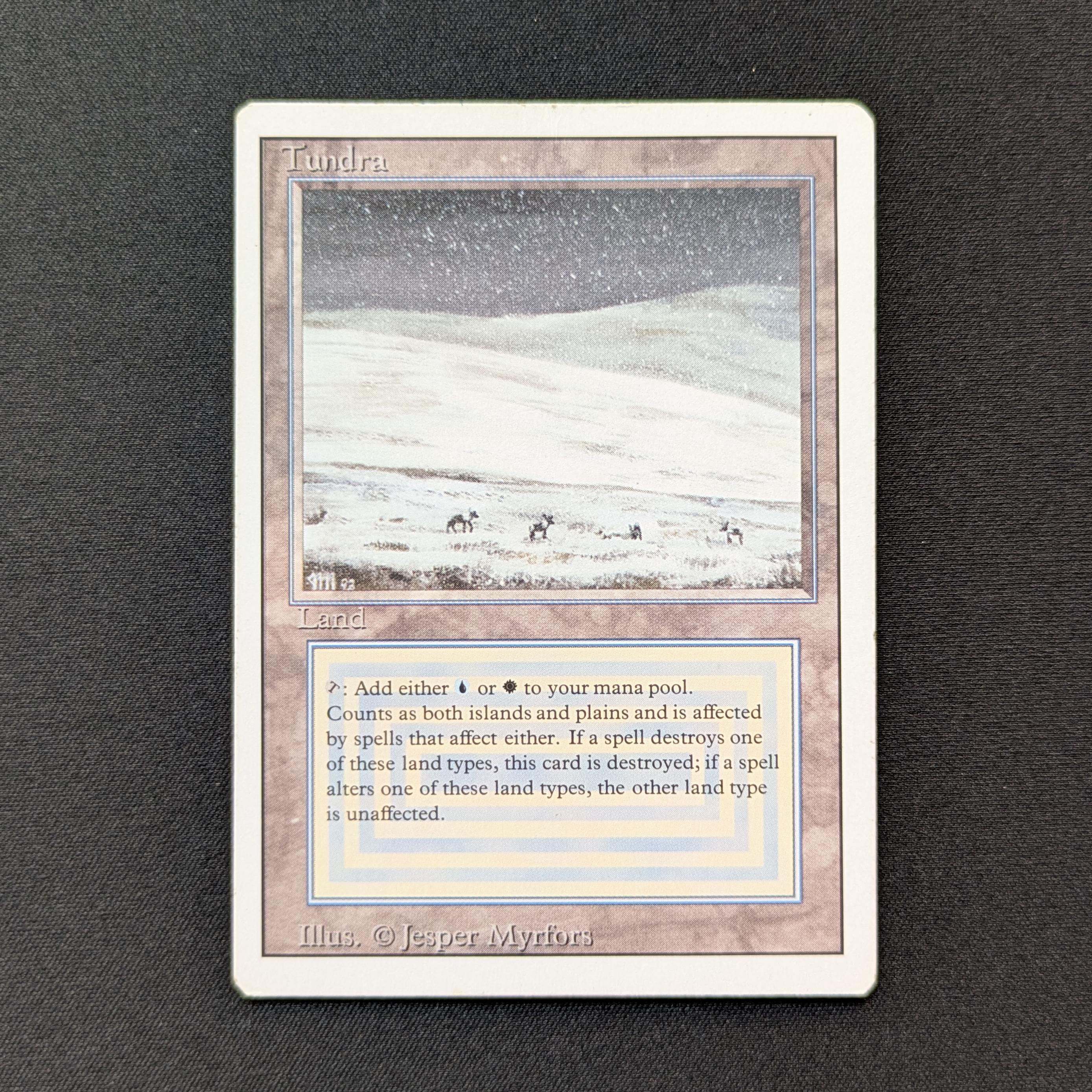 MTG Singles - Tundra - Revised - LP - 28658