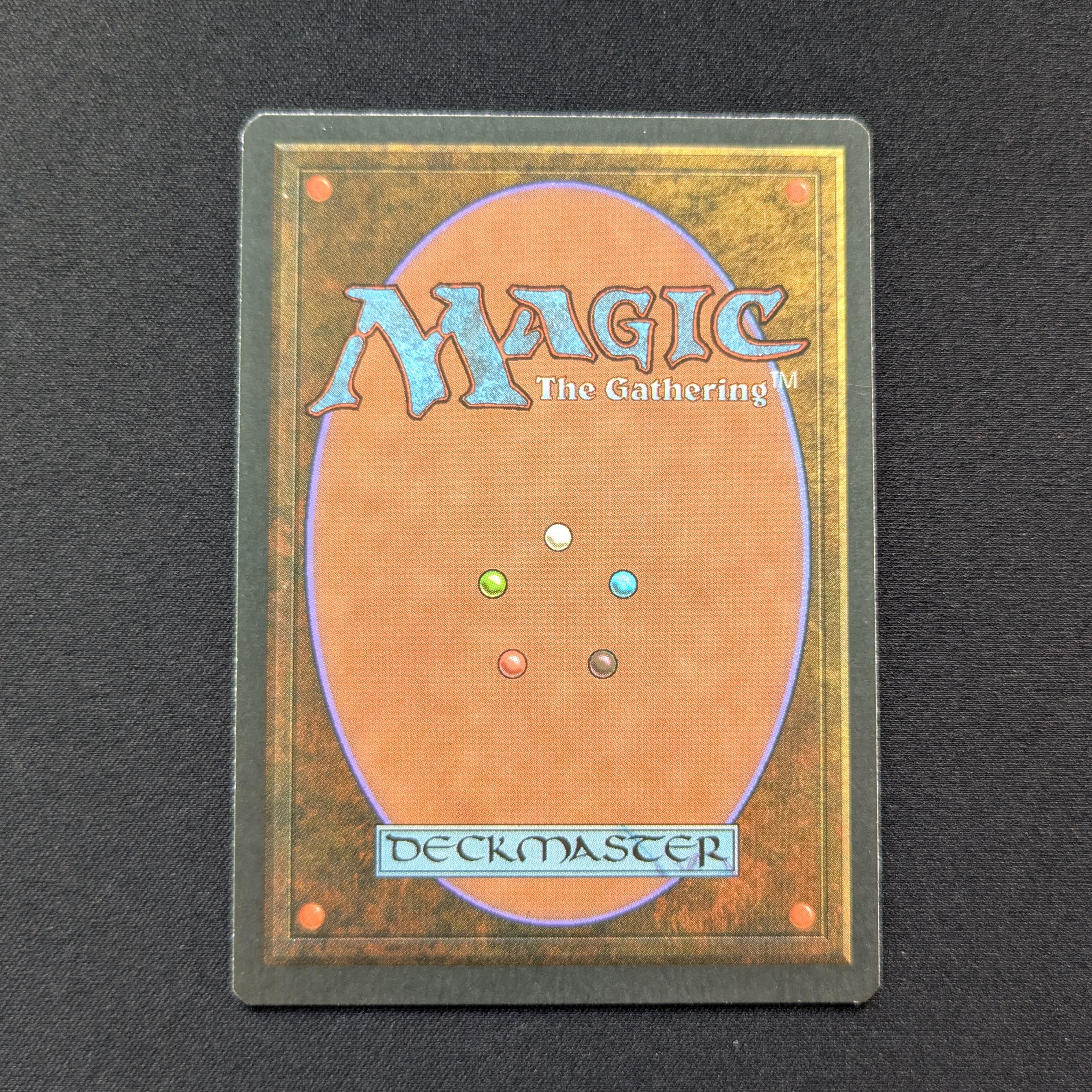 MTG Singles - Tundra - Foreign White Bordered - 