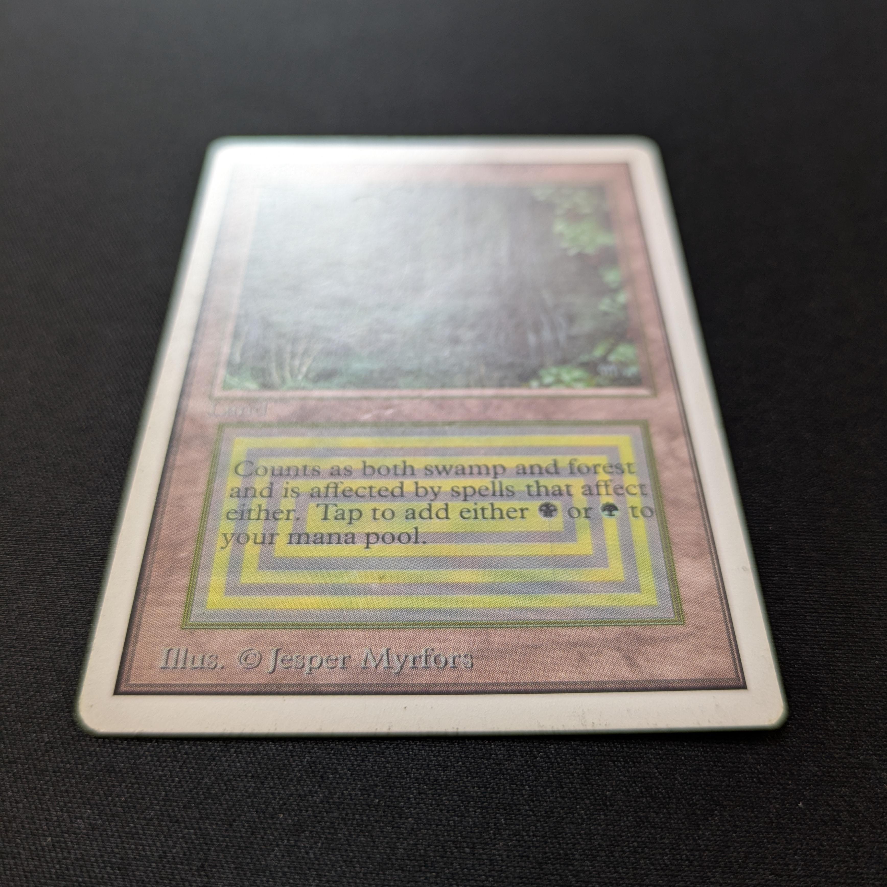 MTG Singles - Bayou - Unlimited - 