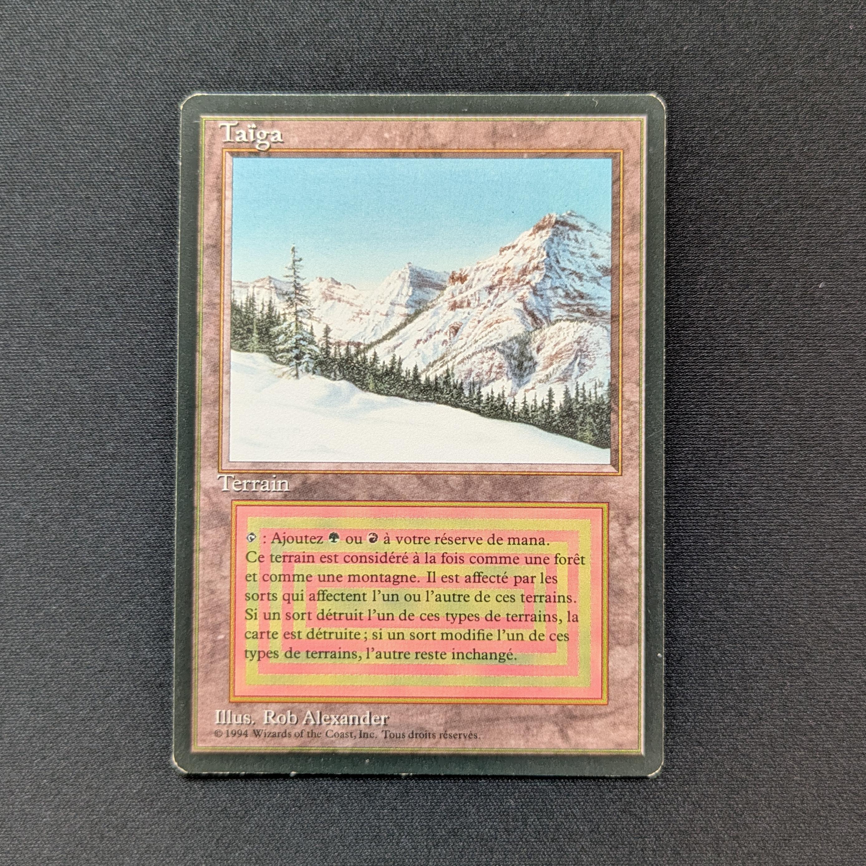 MTG Singles - Taiga - Foreign Black Bordered - French - GD - 28738