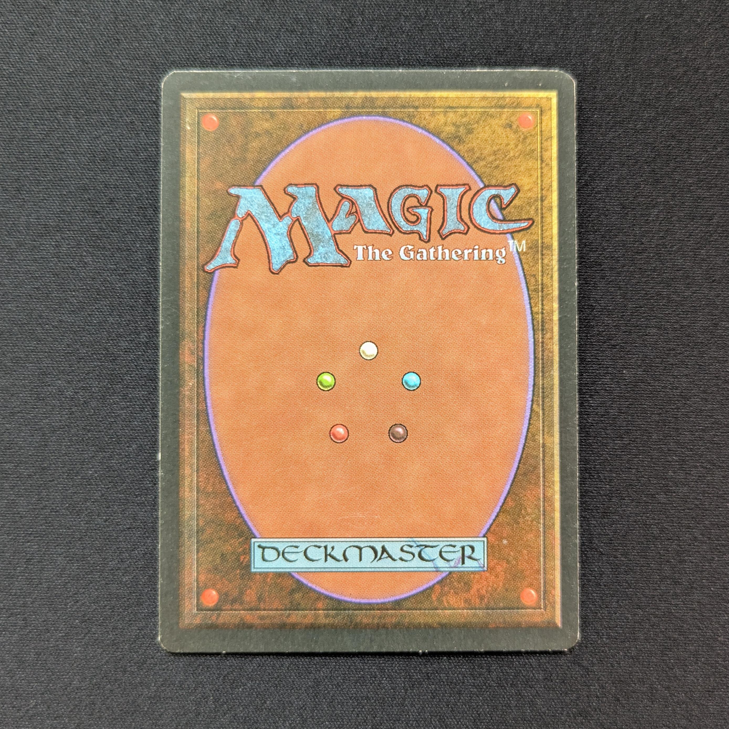 MTG Singles - Taiga - Foreign Black Bordered - 