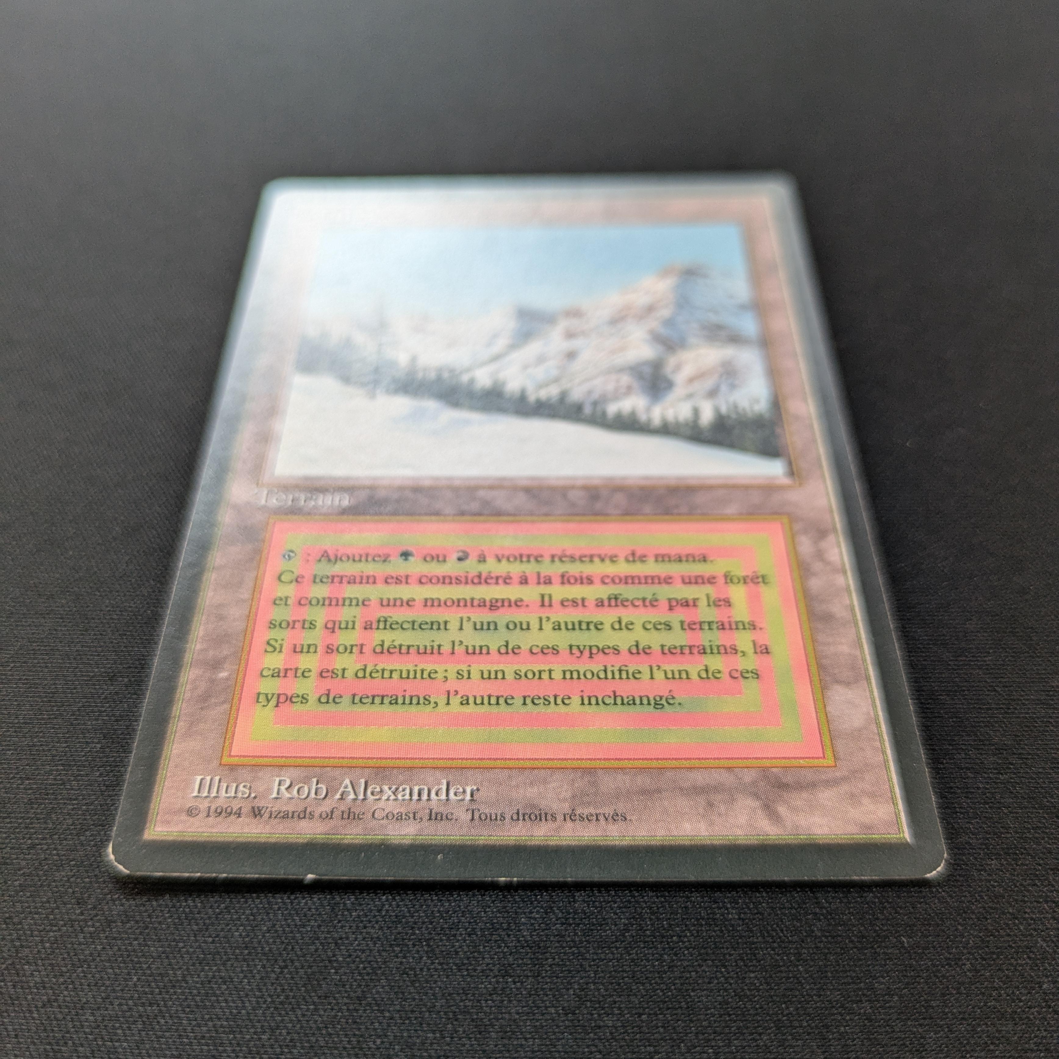 MTG Singles - Taiga - Foreign Black Bordered - 