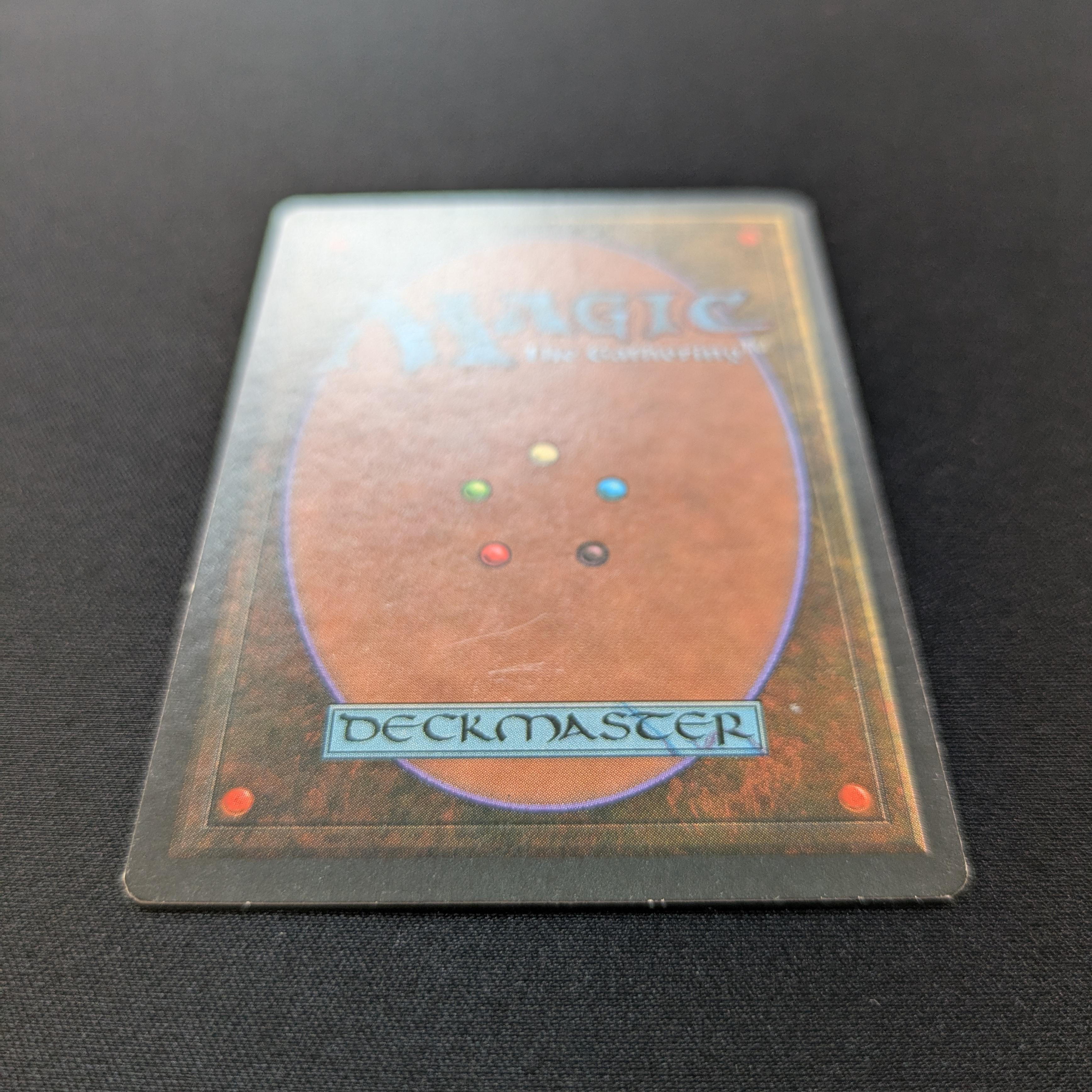 MTG Singles - Taiga - Foreign Black Bordered - 