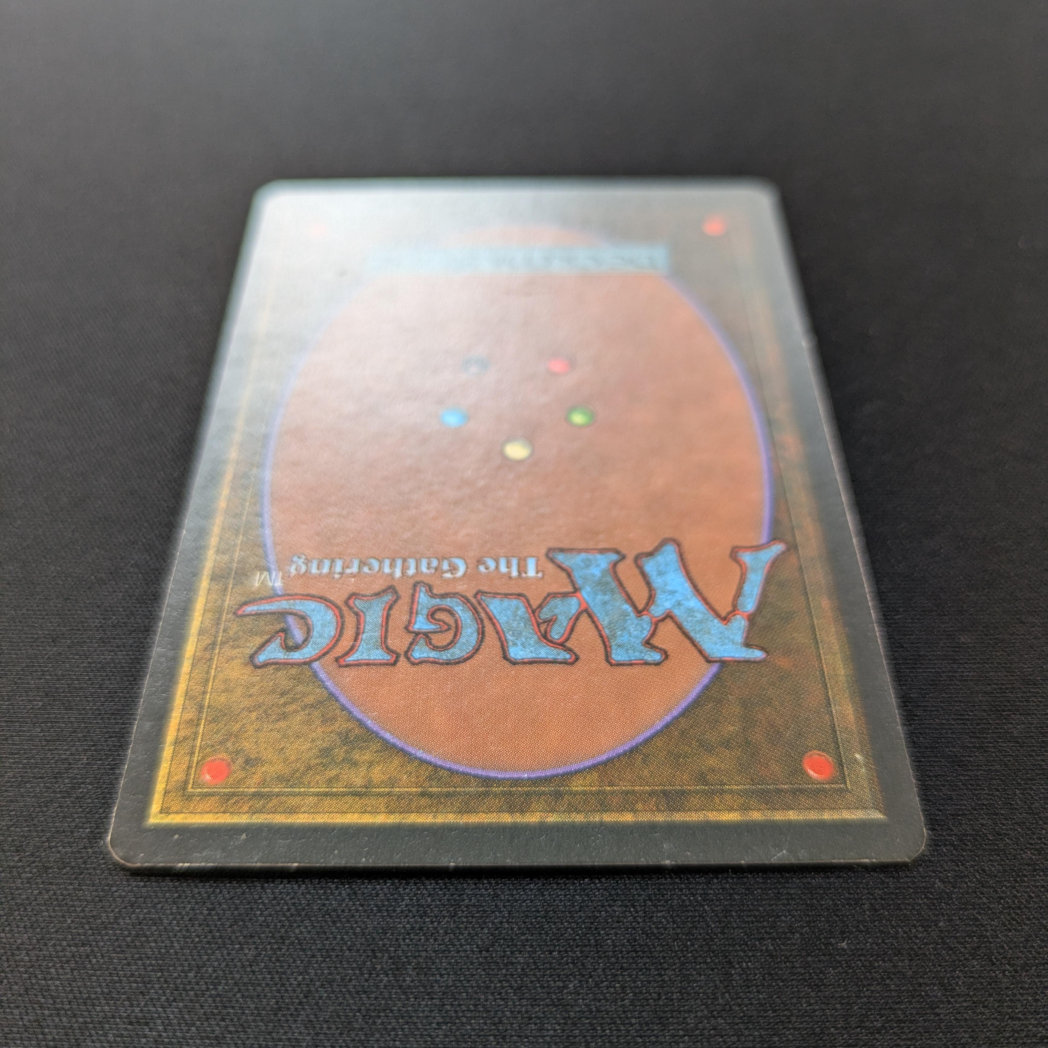 MTG Singles - Taiga - Foreign Black Bordered - 