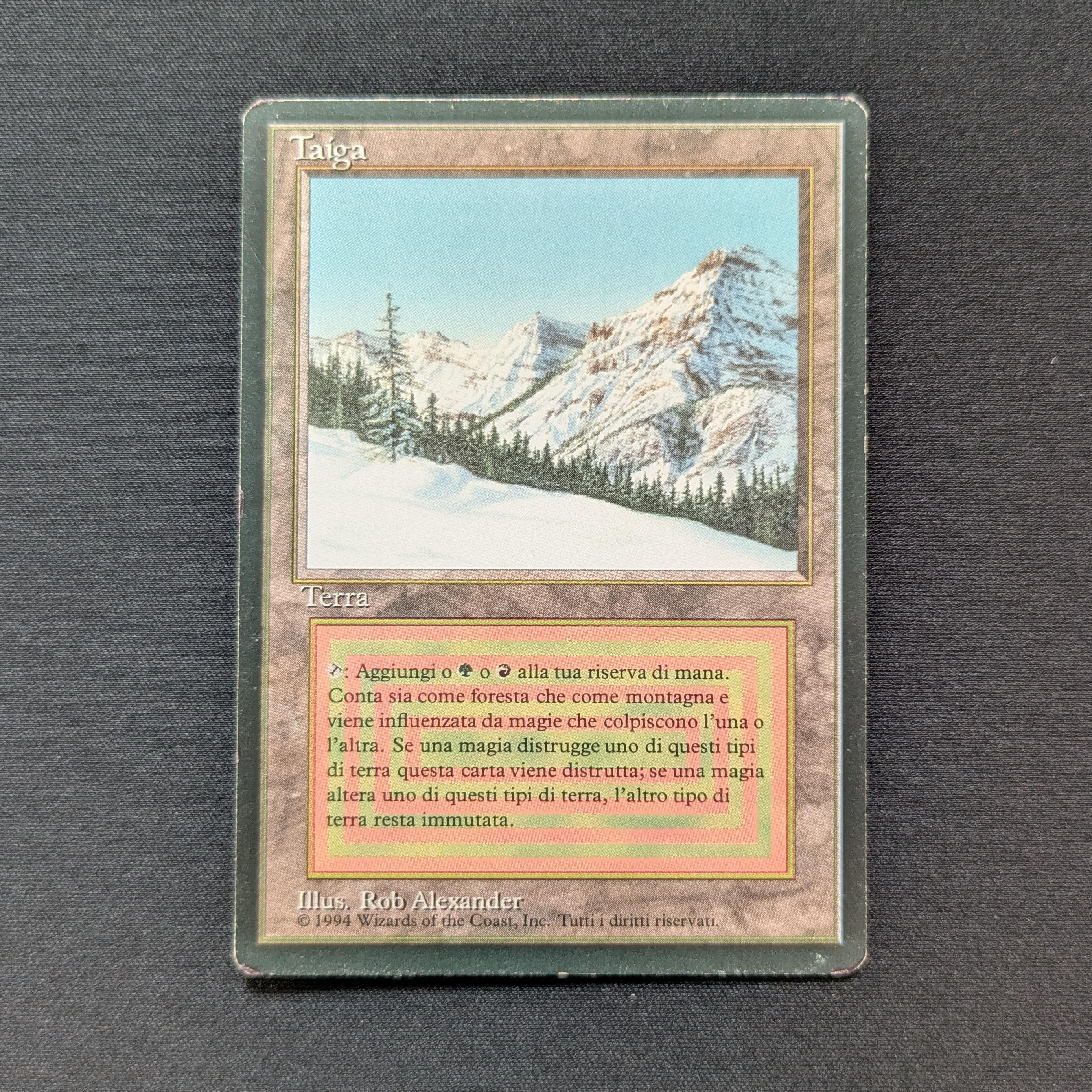 MTG Singles - Taiga - Foreign Black Bordered - Italian - PL - INKED - 28739