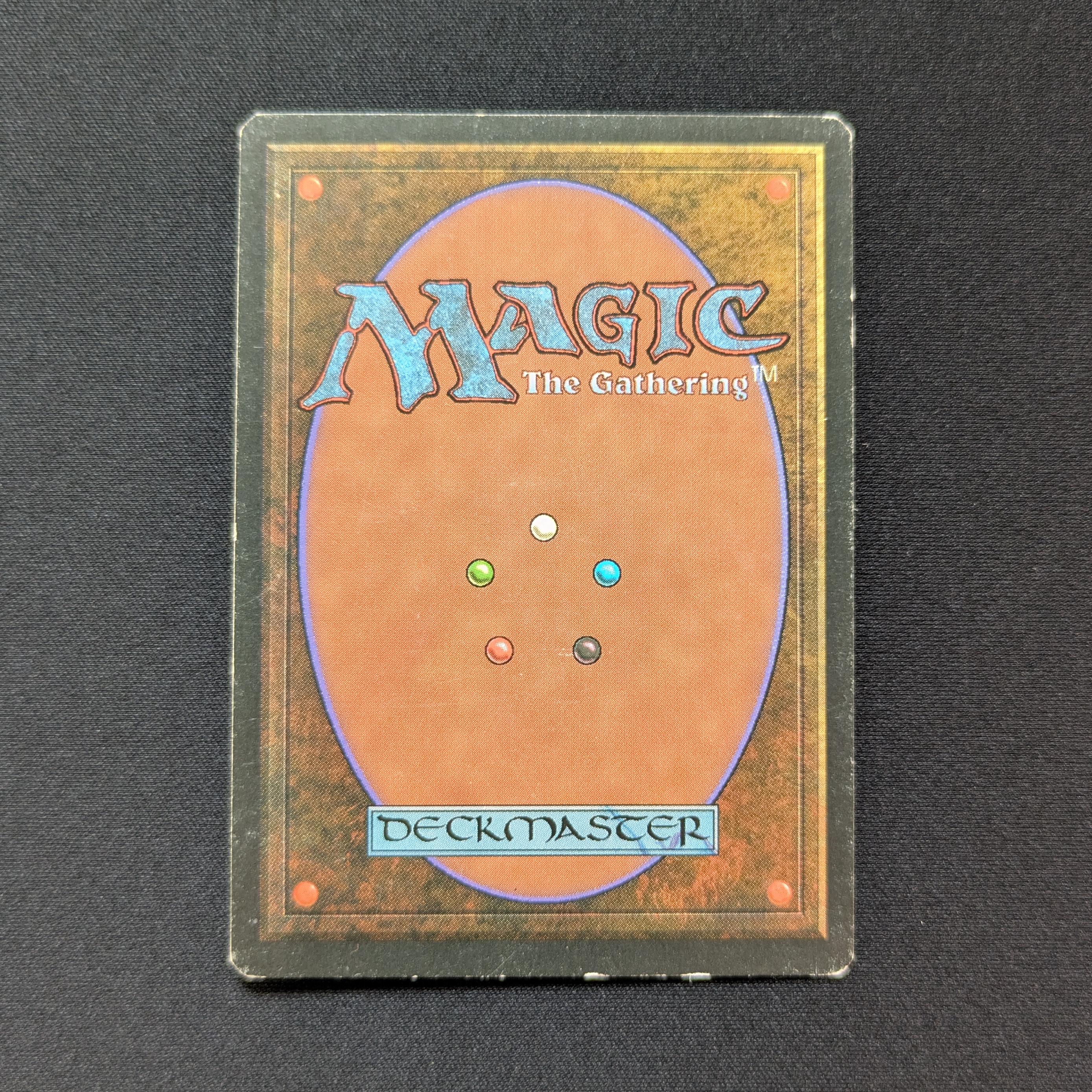 MTG Singles - Taiga - Foreign Black Bordered - 