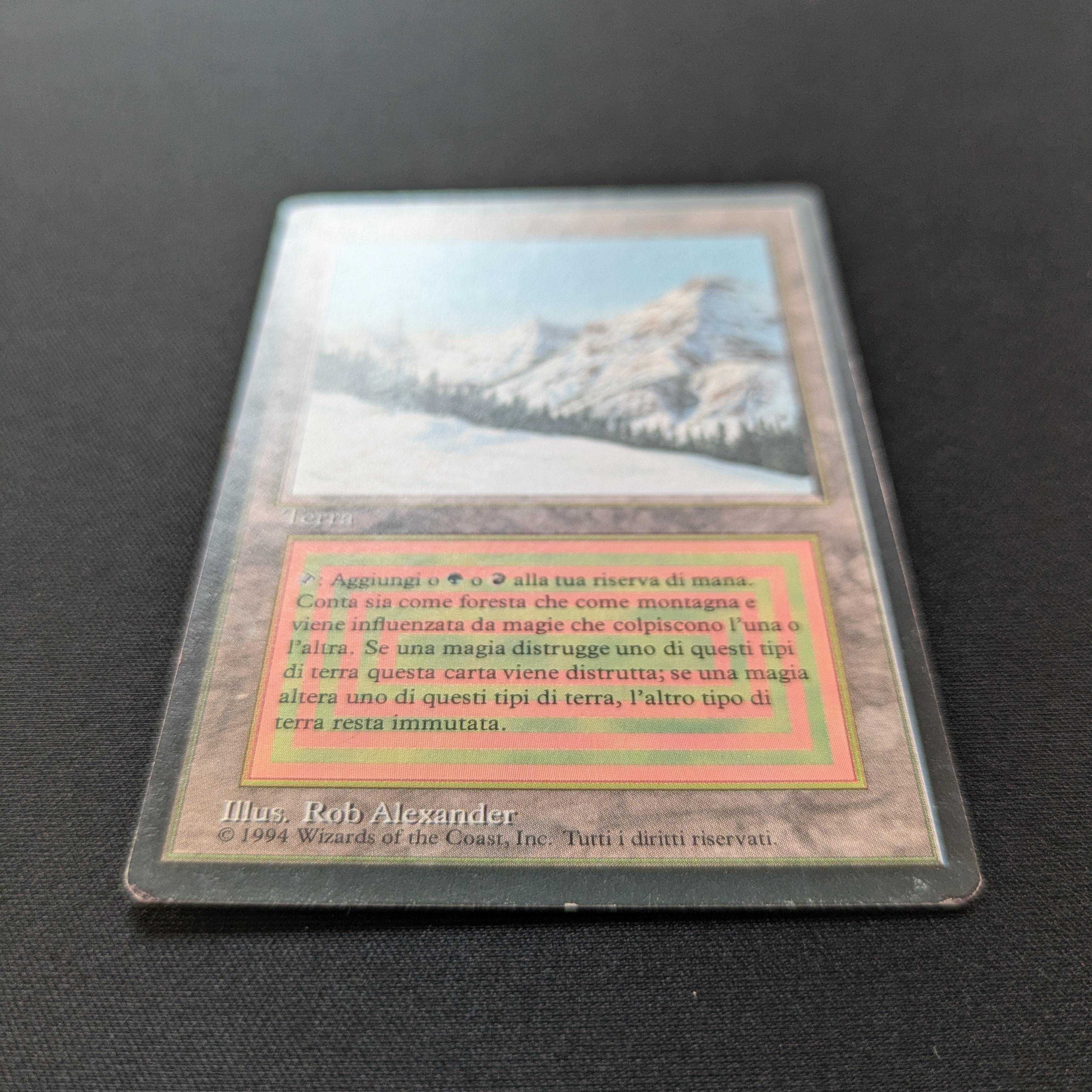 MTG Singles - Taiga - Foreign Black Bordered - 