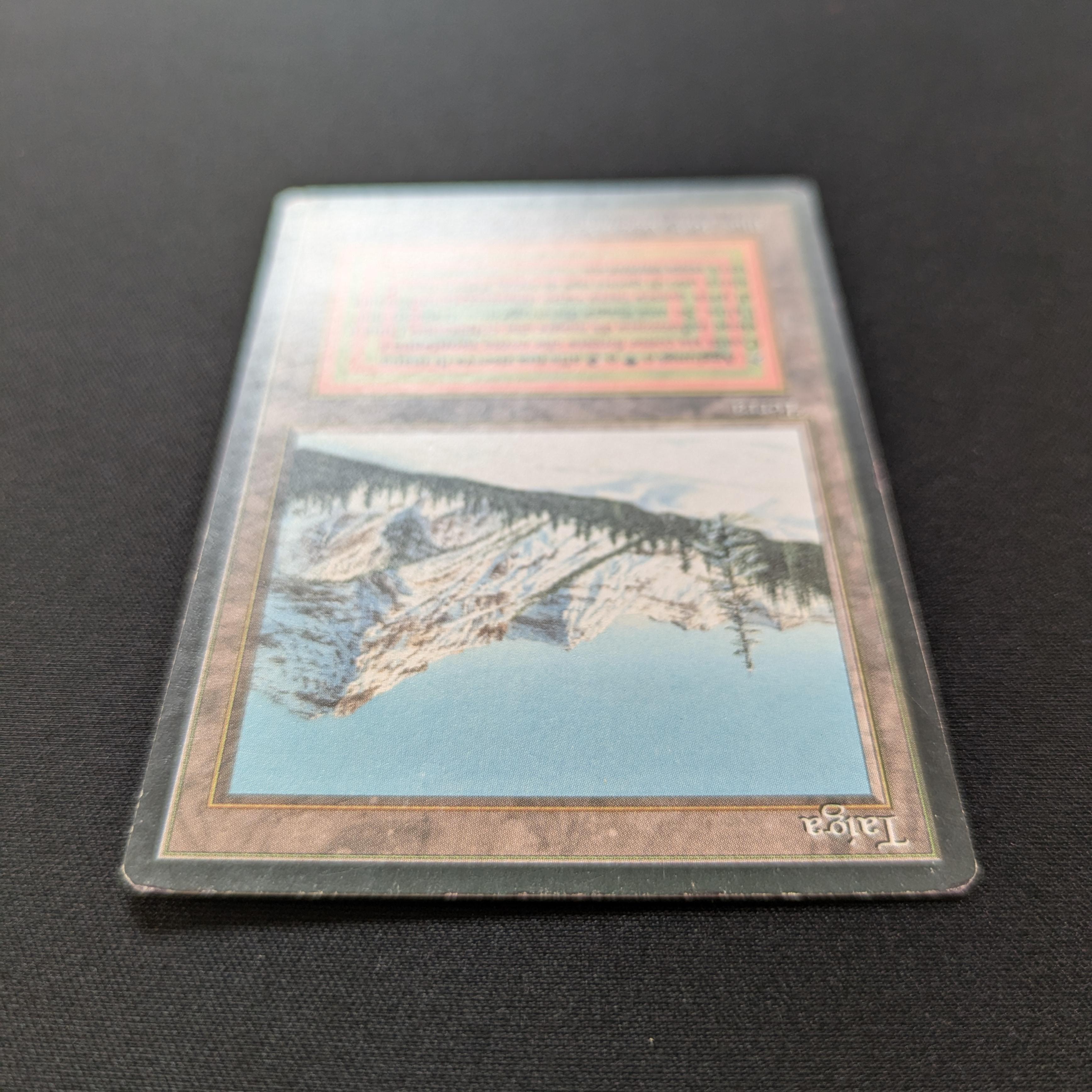 MTG Singles - Taiga - Foreign Black Bordered - 