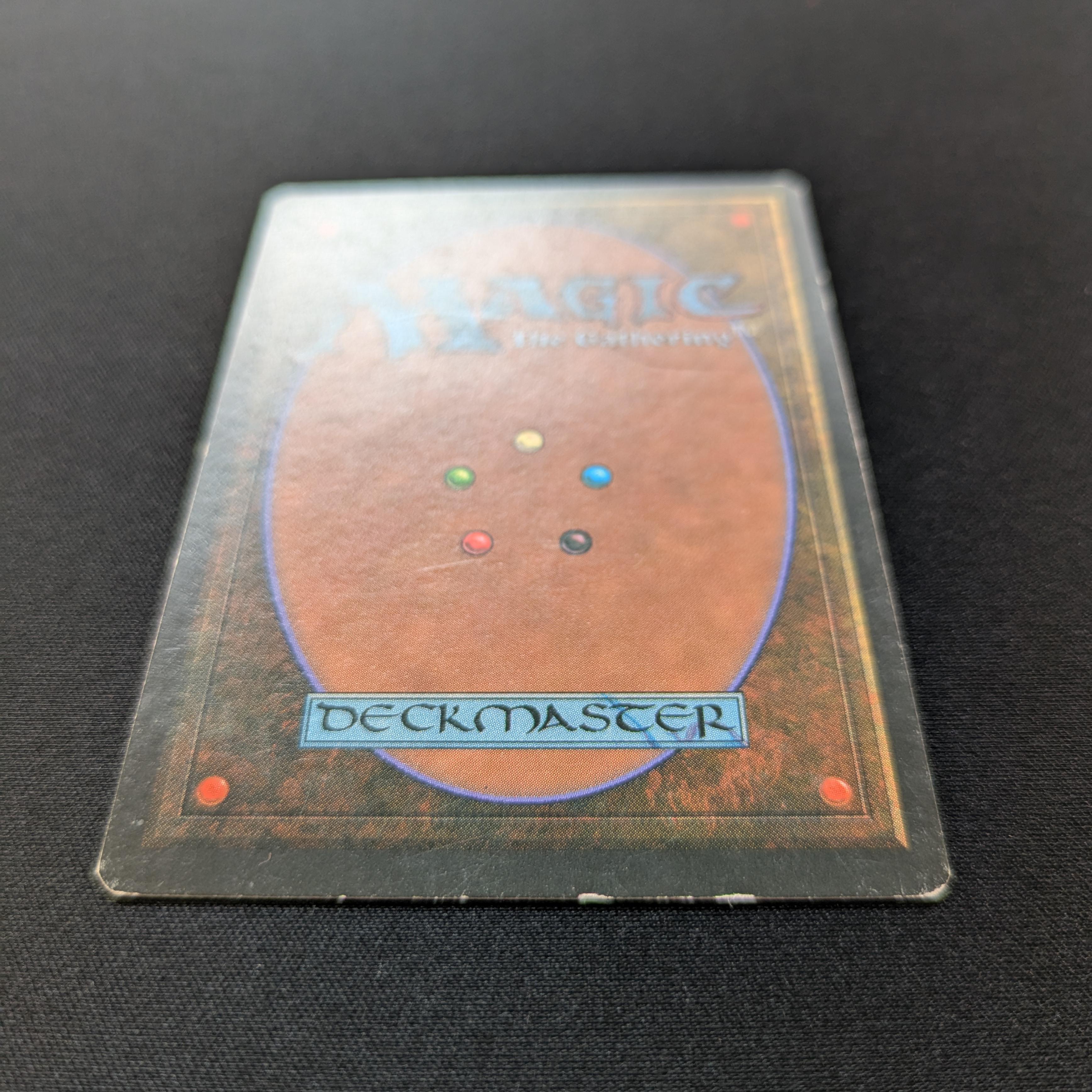 MTG Singles - Taiga - Foreign Black Bordered - 