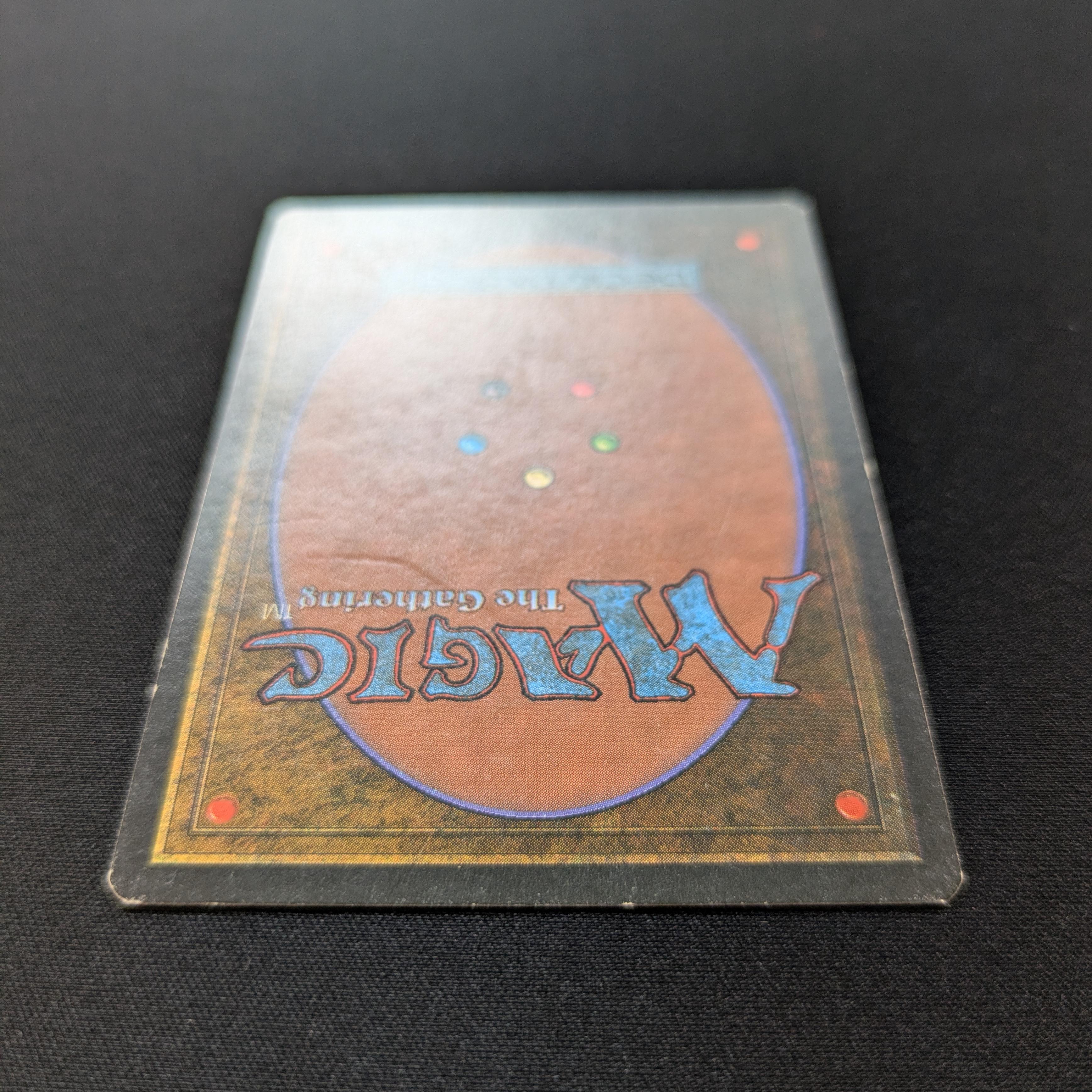 MTG Singles - Taiga - Foreign Black Bordered - 