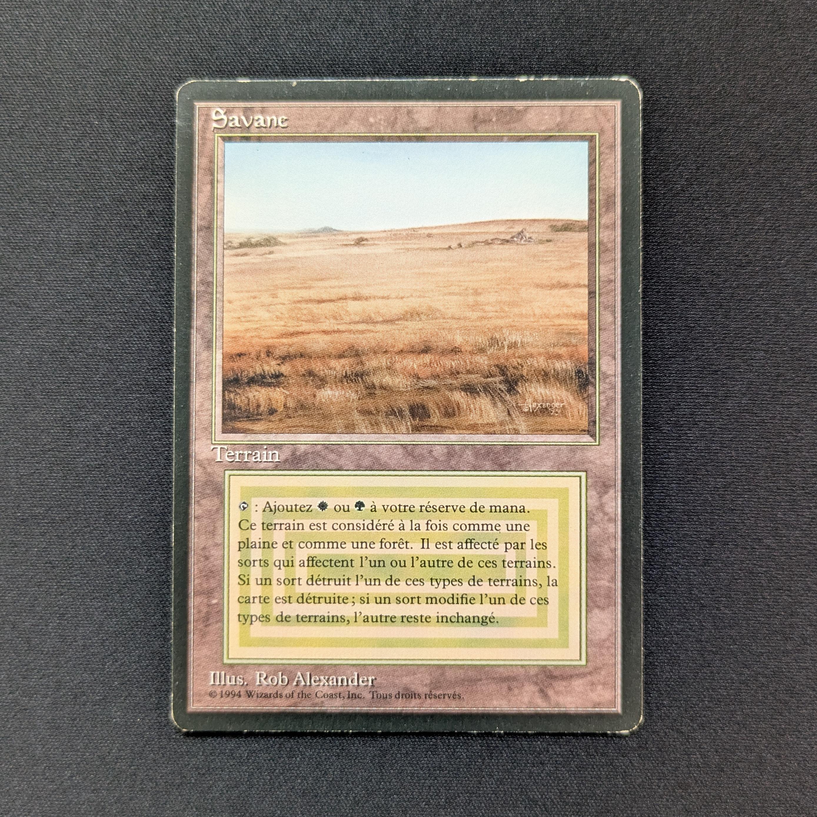 MTG Singles - Savannah - Foreign Black Bordered - French - LP - 28740