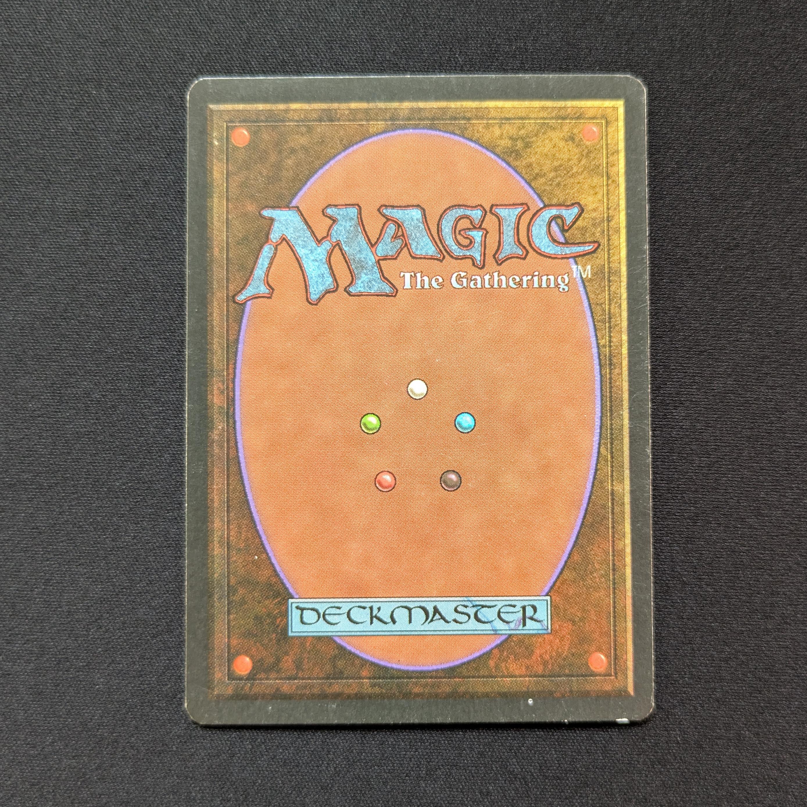 MTG Singles - Bayou - Foreign Black Bordered - 