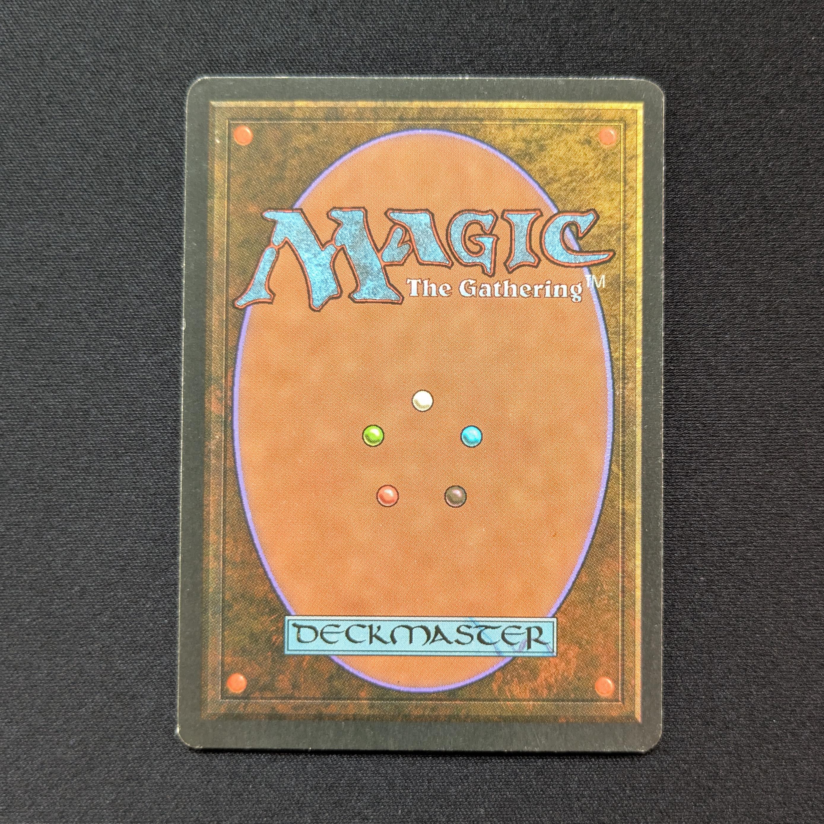MTG Singles - Bayou - Foreign Black Bordered - 