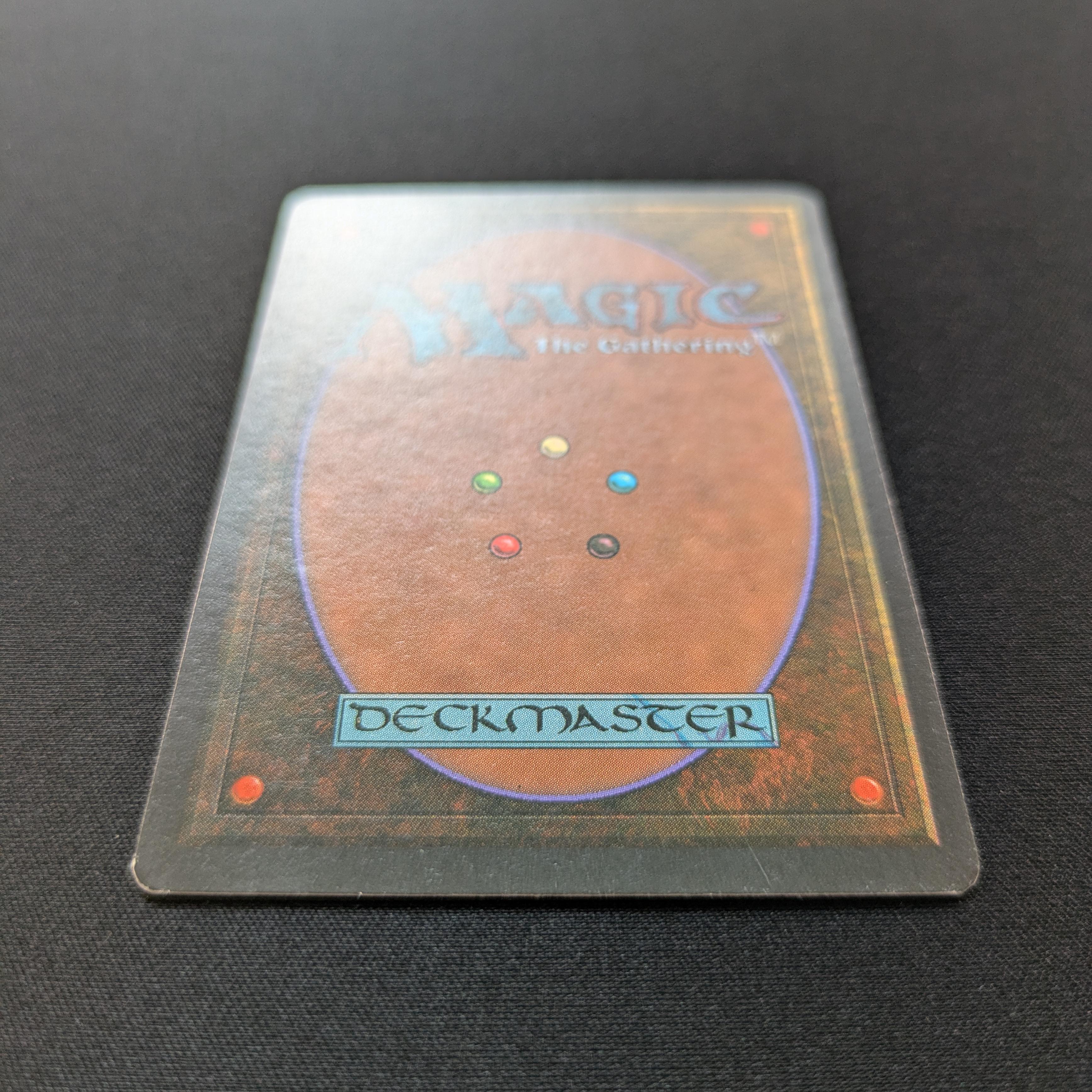 MTG Singles - Bayou - Foreign Black Bordered - 