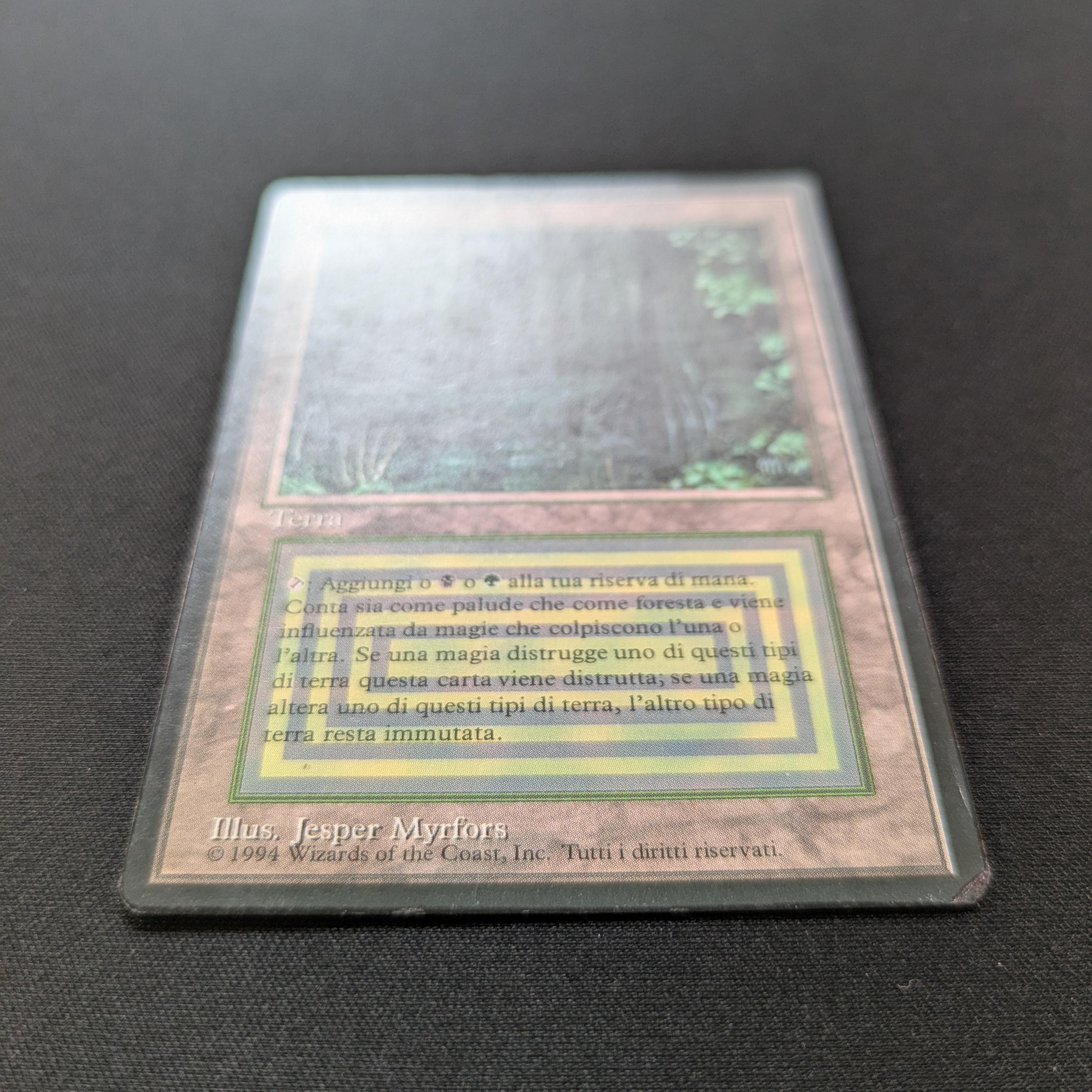 MTG Singles - Bayou - Foreign Black Bordered - 