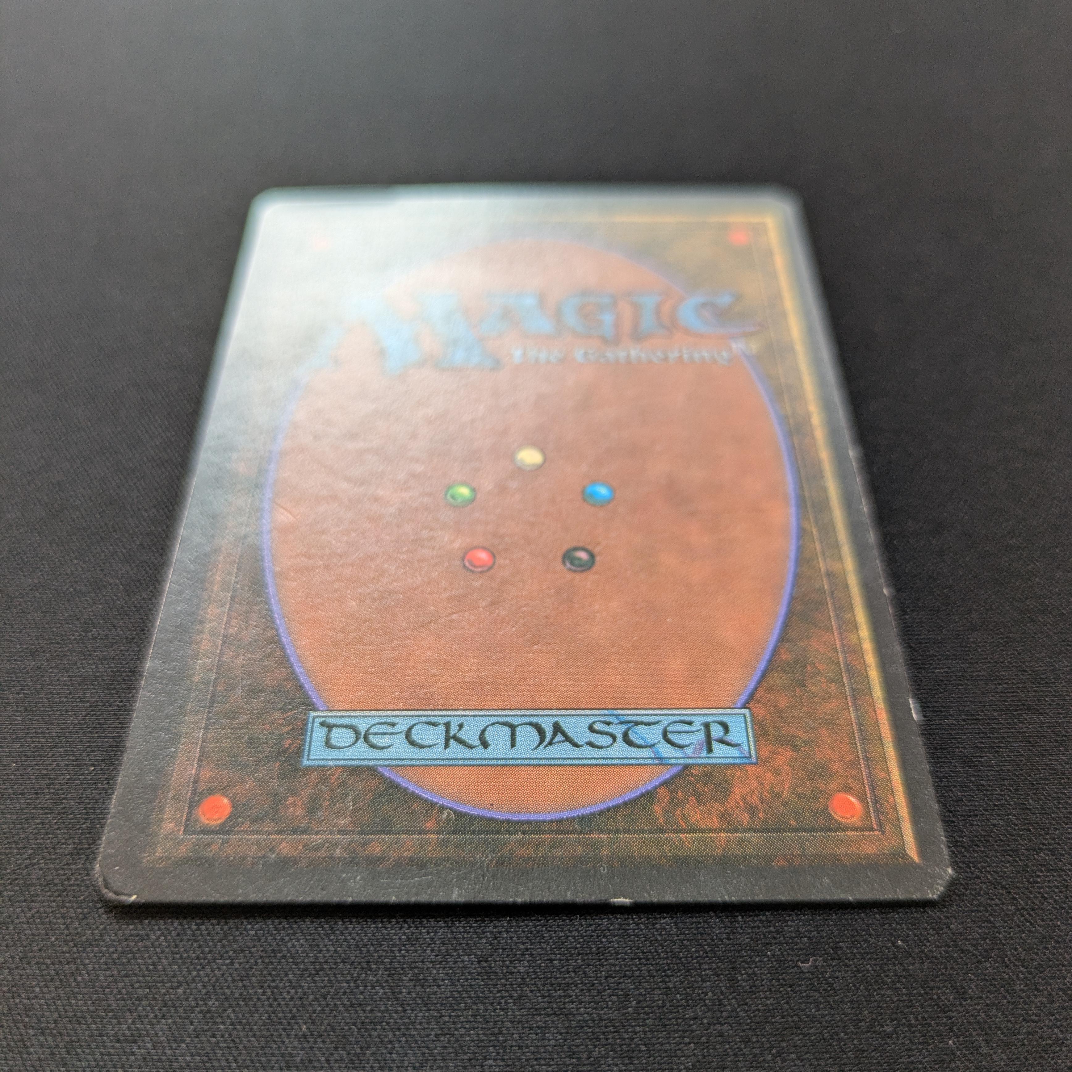 MTG Singles - Bayou - Foreign Black Bordered - 