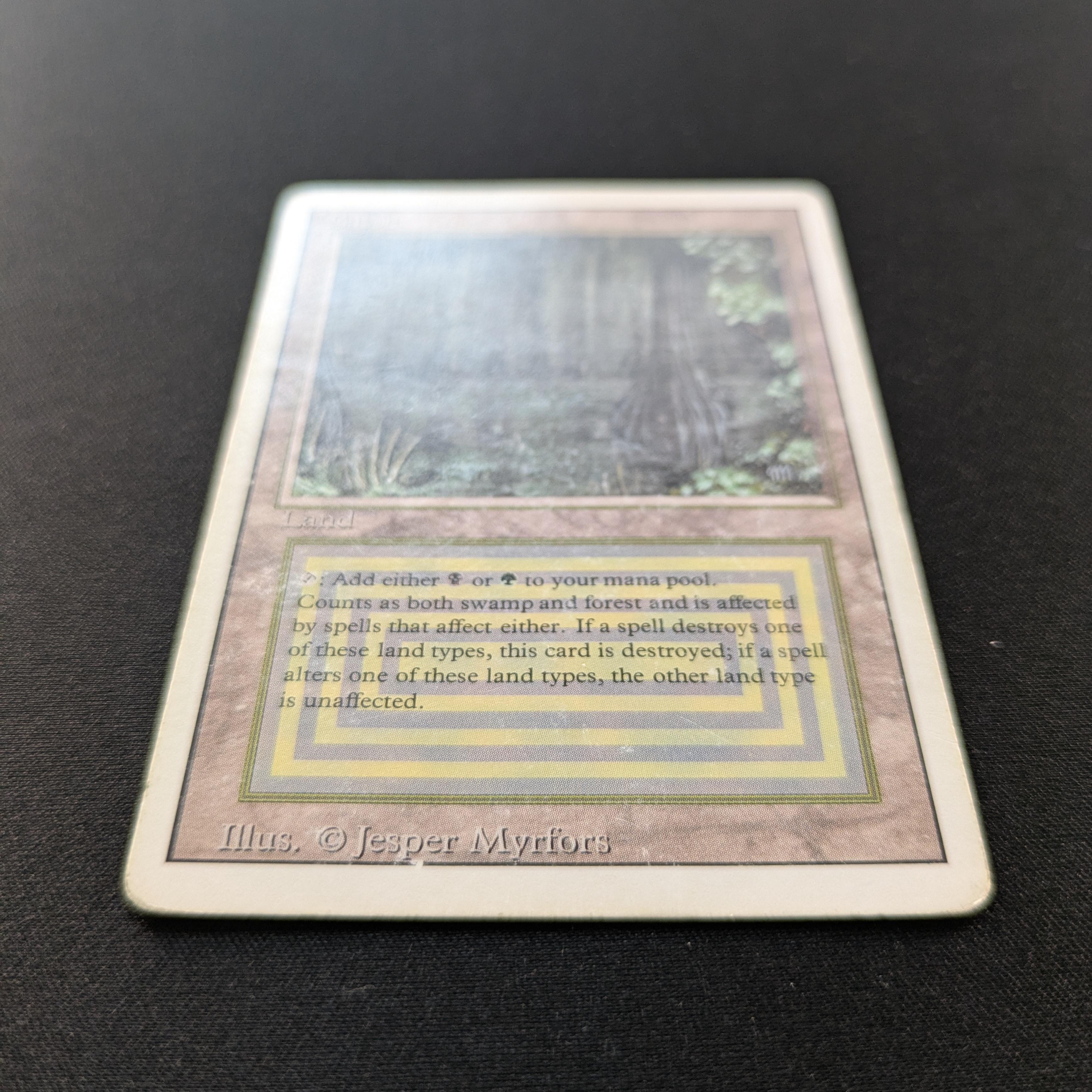 MTG Singles - Bayou - Revised - 