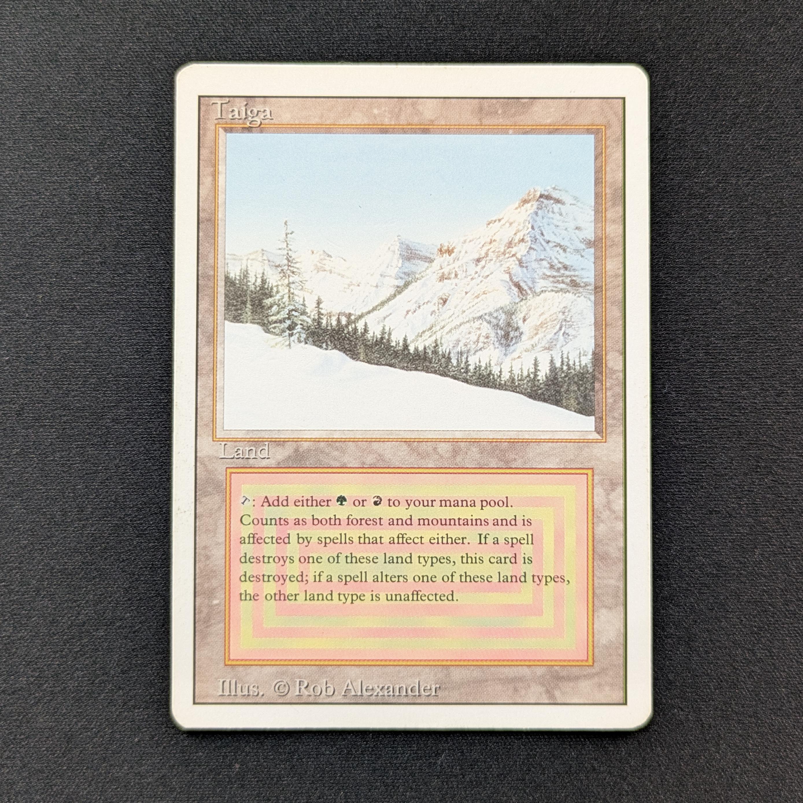 MTG Singles - Taiga - Revised - PL - 28804