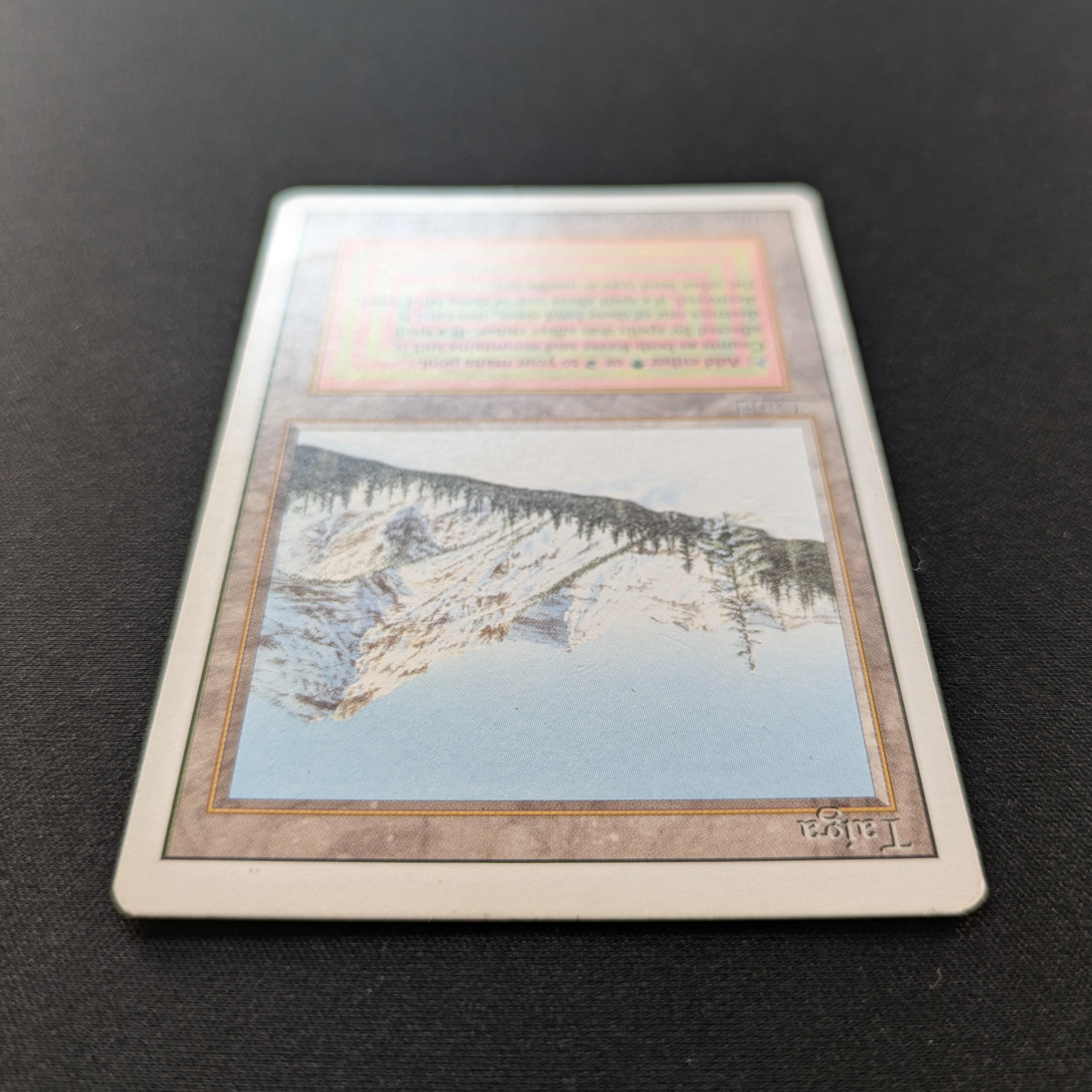 MTG Singles - Taiga - Revised - 
