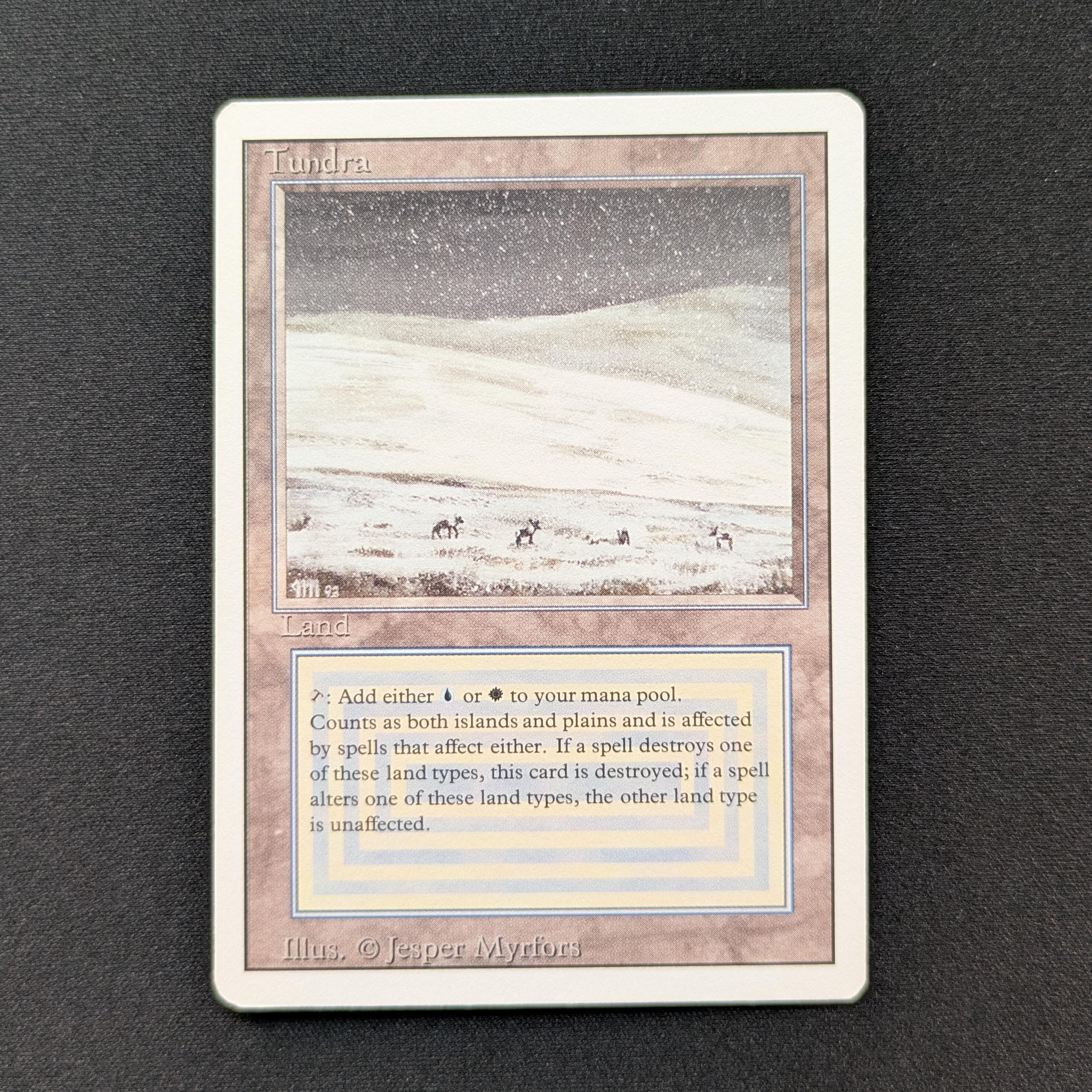 MTG Singles - Tundra - Revised - EX - 28805
