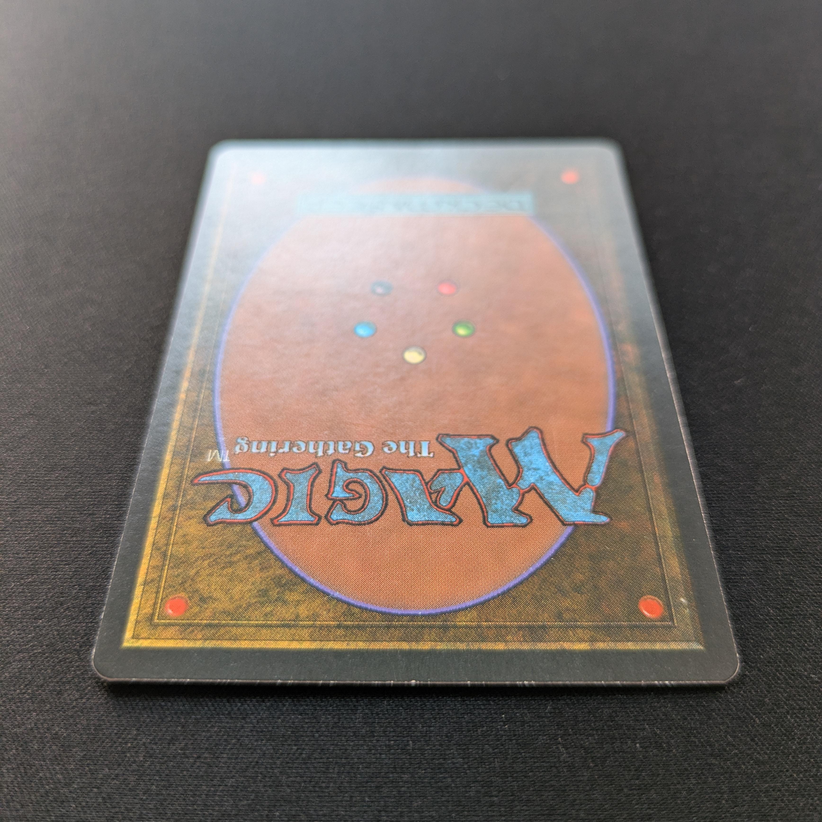 MTG Singles - Bayou - Foreign Black Bordered - 