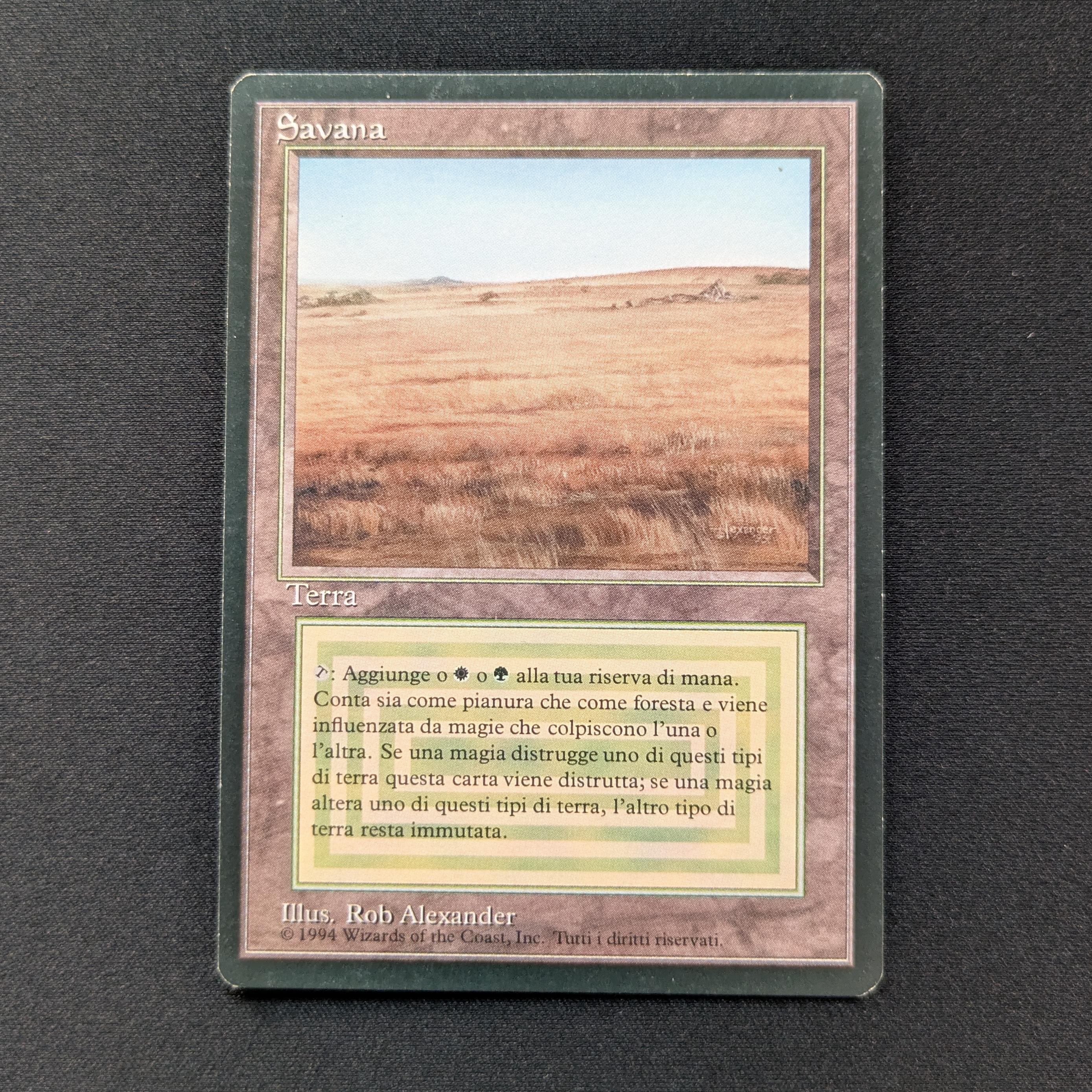 MTG Singles - Savannah - Foreign Black Bordered - Italian - EX - 28820
