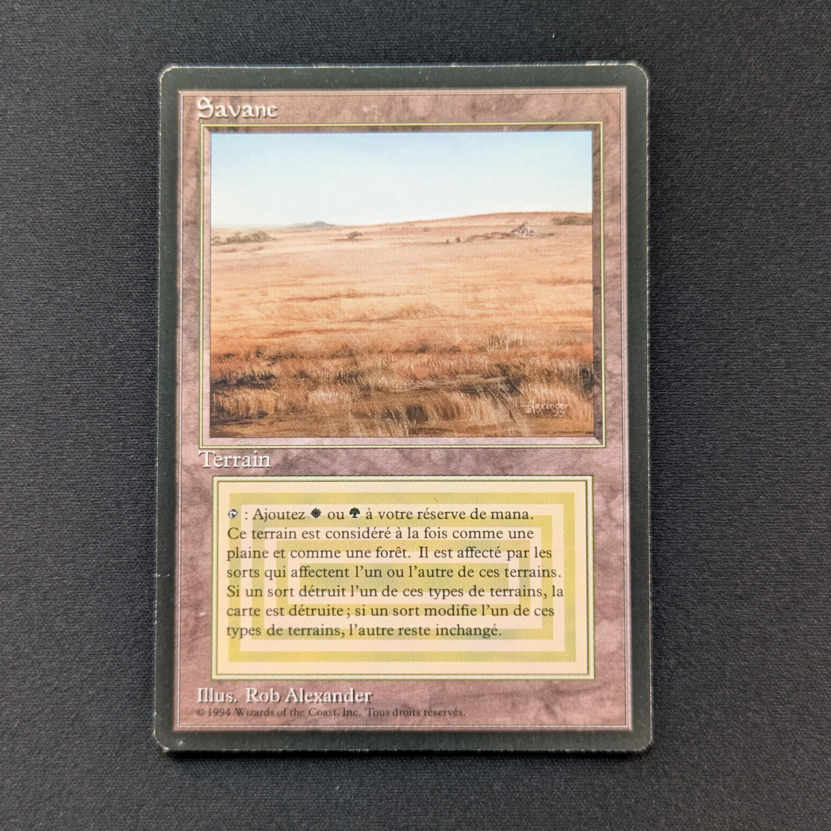 MTG Singles - Savannah - Foreign Black Bordered - French - EX - 28821