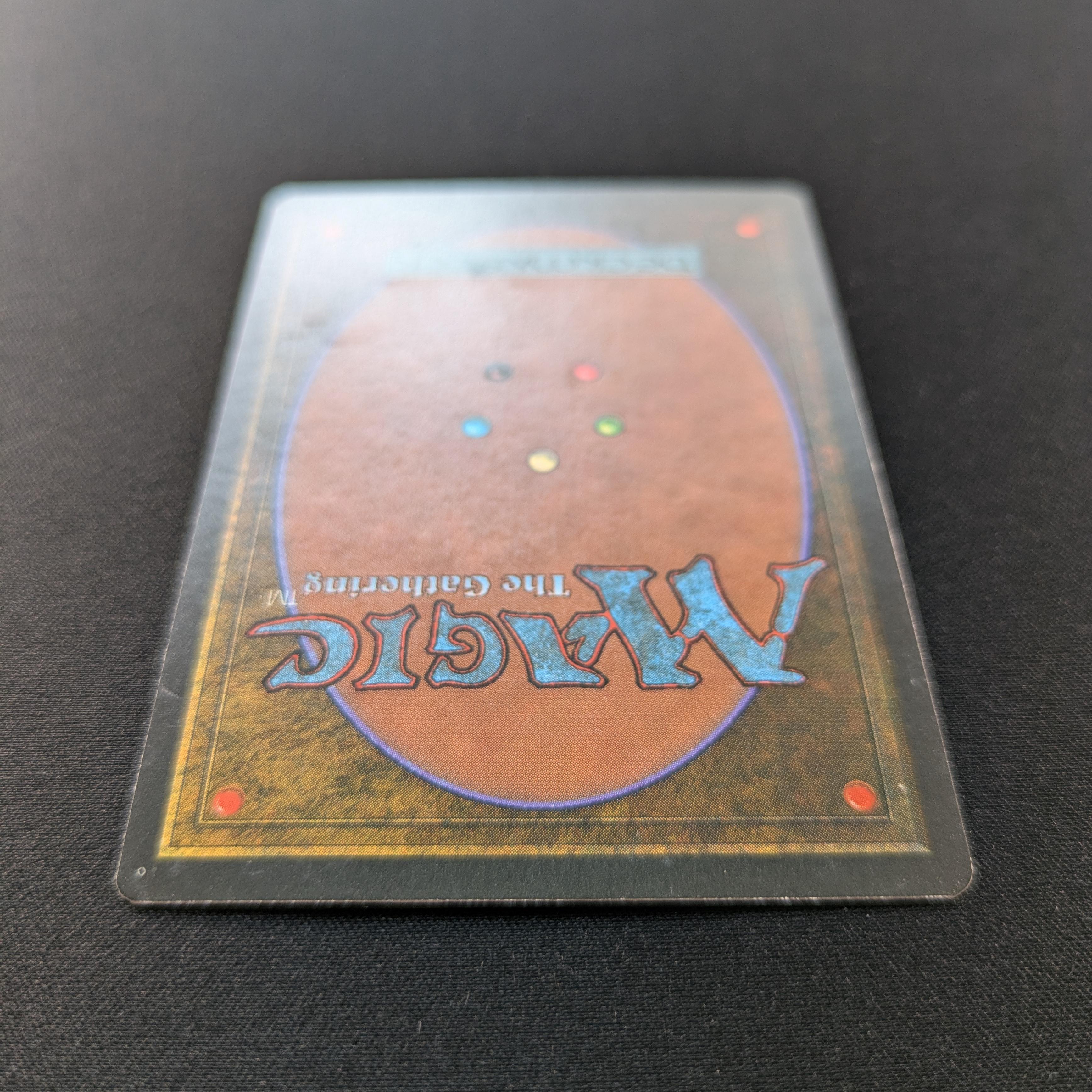 MTG Singles - Savannah - Foreign Black Bordered - 