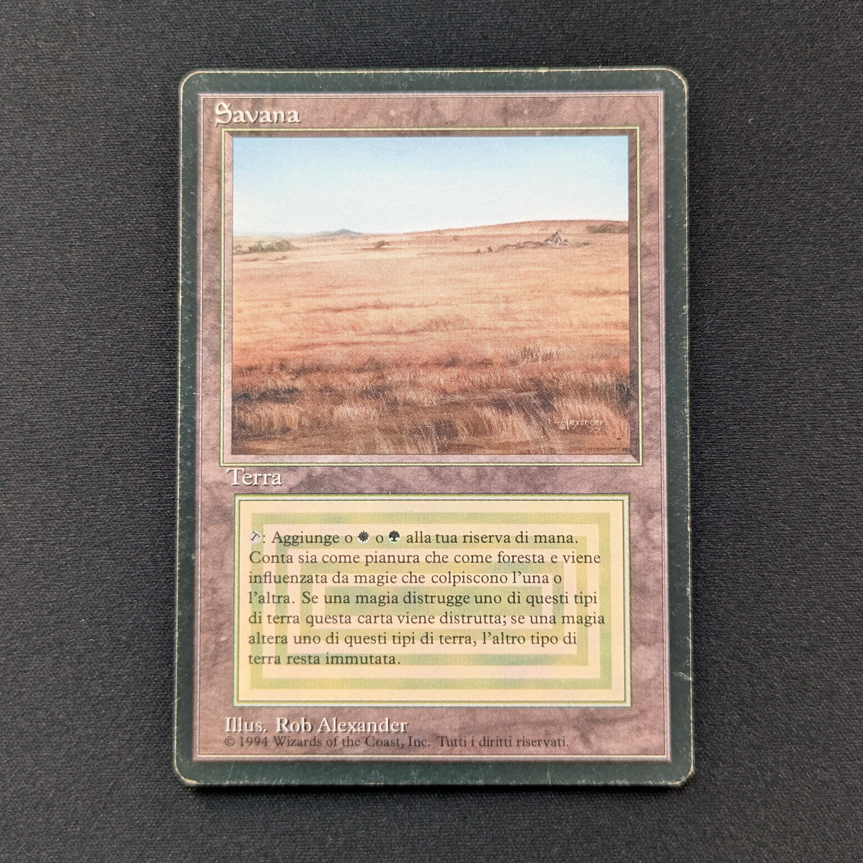 MTG Singles - Savannah - Foreign Black Bordered - Italian - PL - DENT - 28822