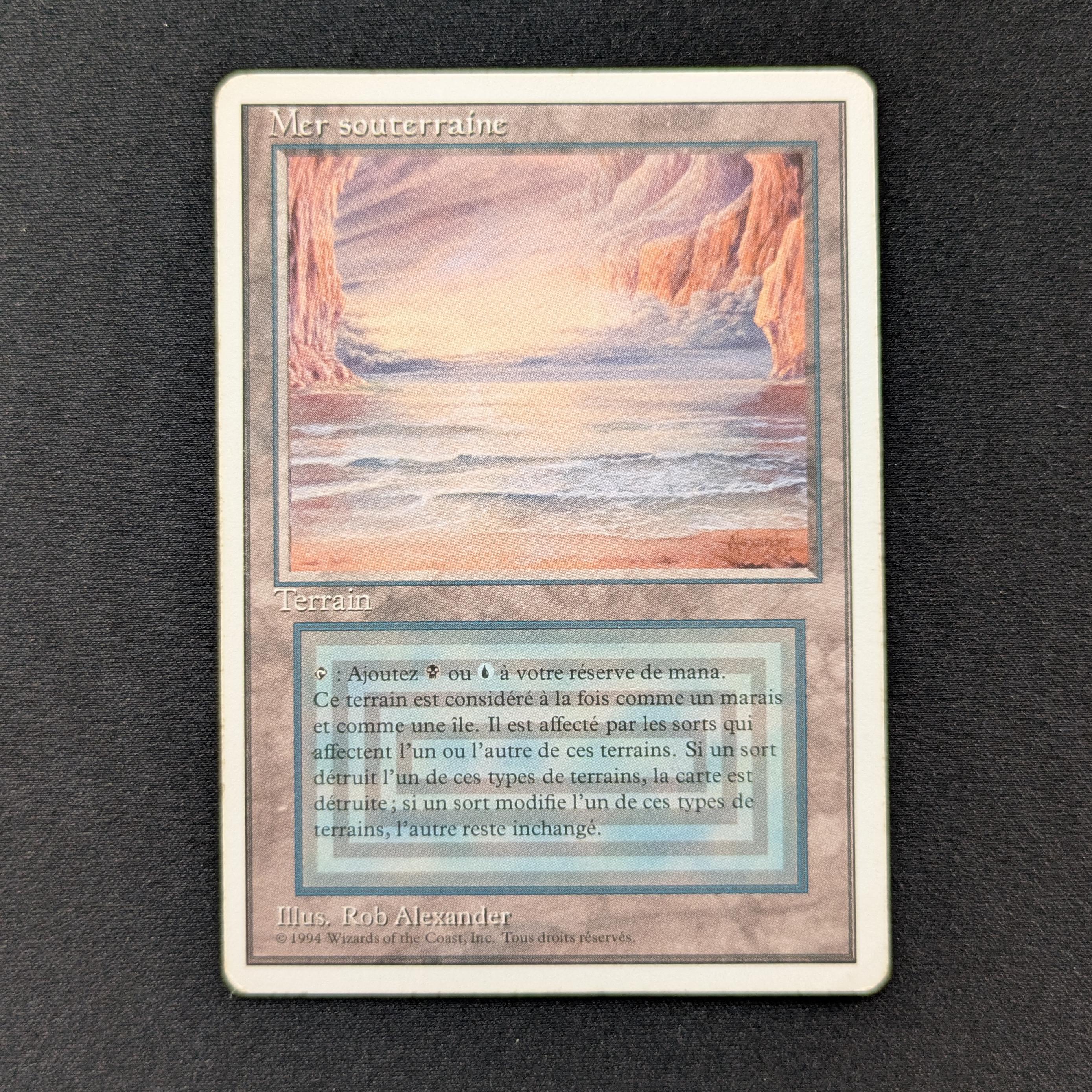MTG Singles - Underground Sea - Foreign White Bordered - French - PL - 28824