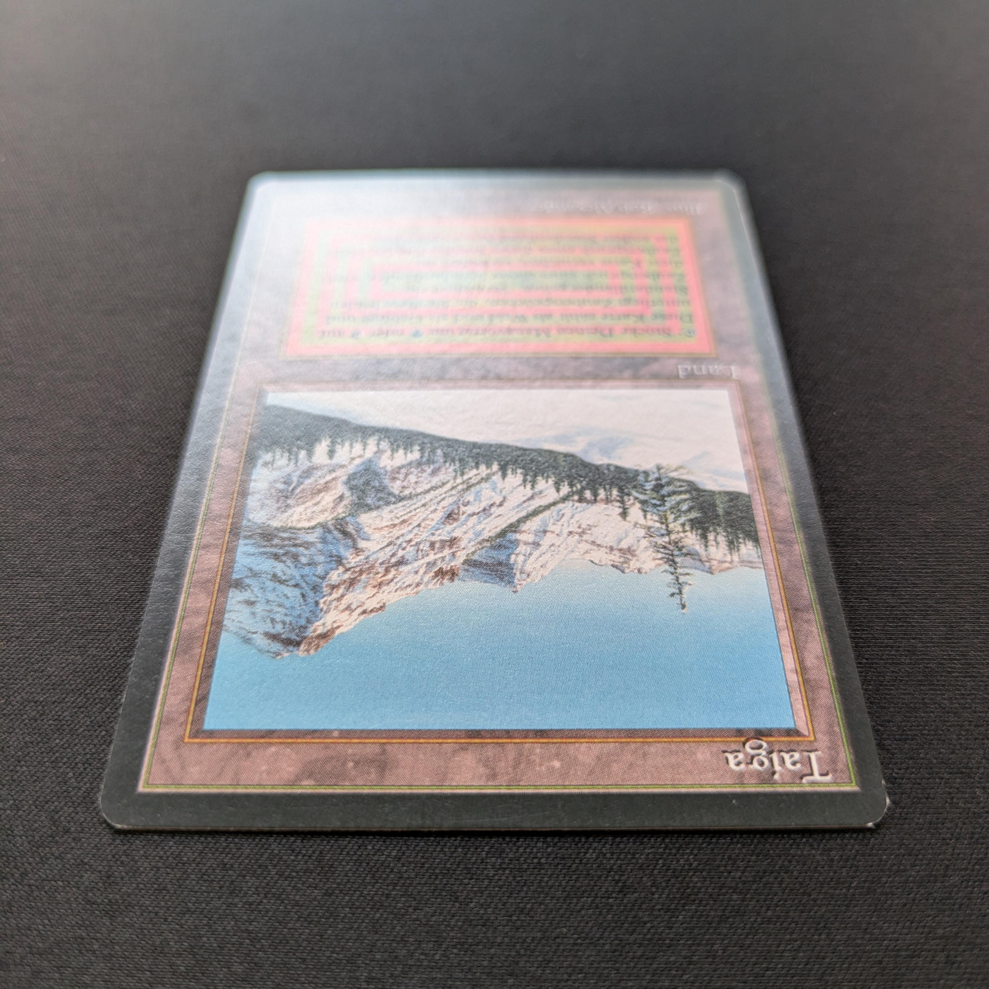 MTG Singles - Taiga - Foreign Black Bordered - 