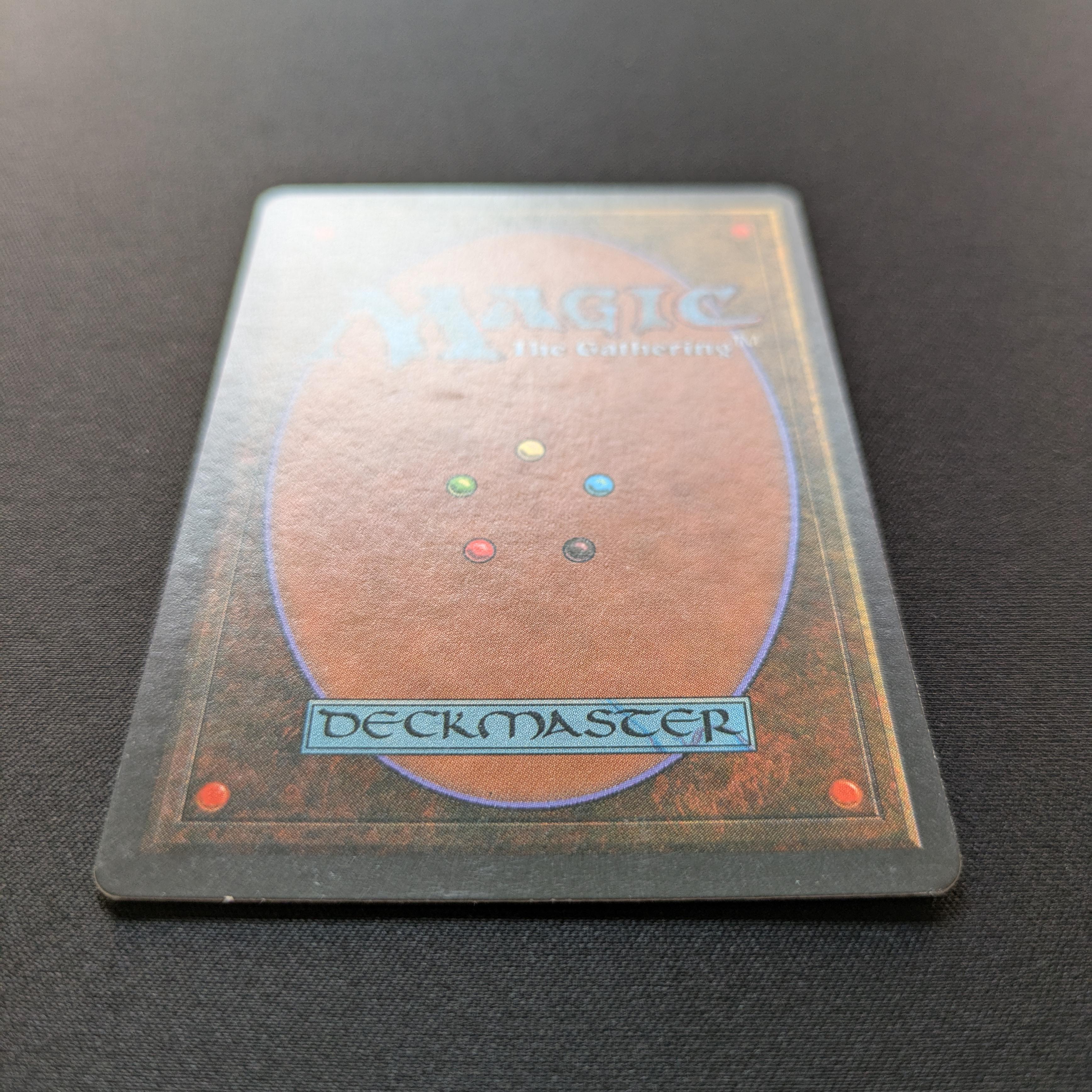 MTG Singles - Taiga - Foreign Black Bordered - 