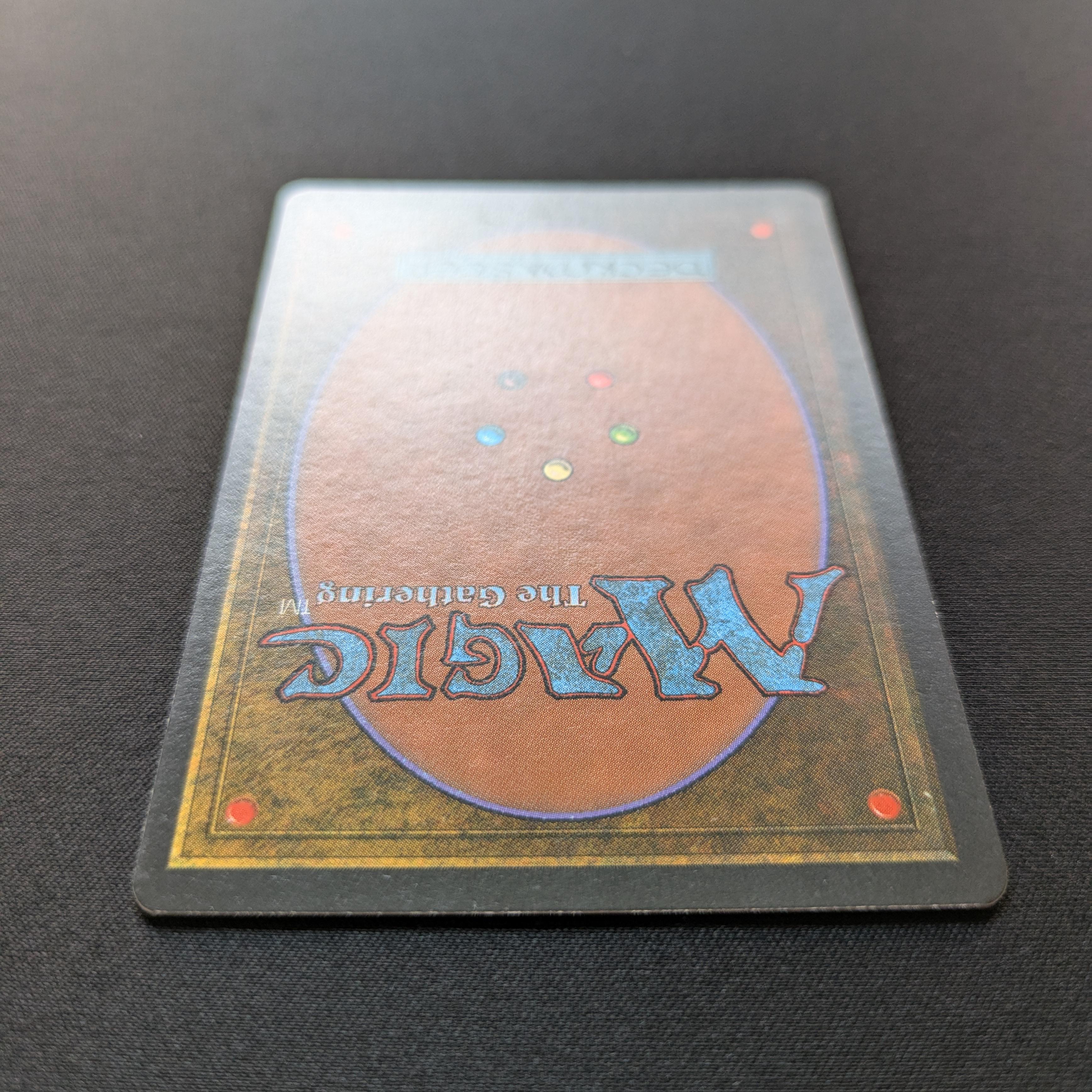 MTG Singles - Taiga - Foreign Black Bordered - 