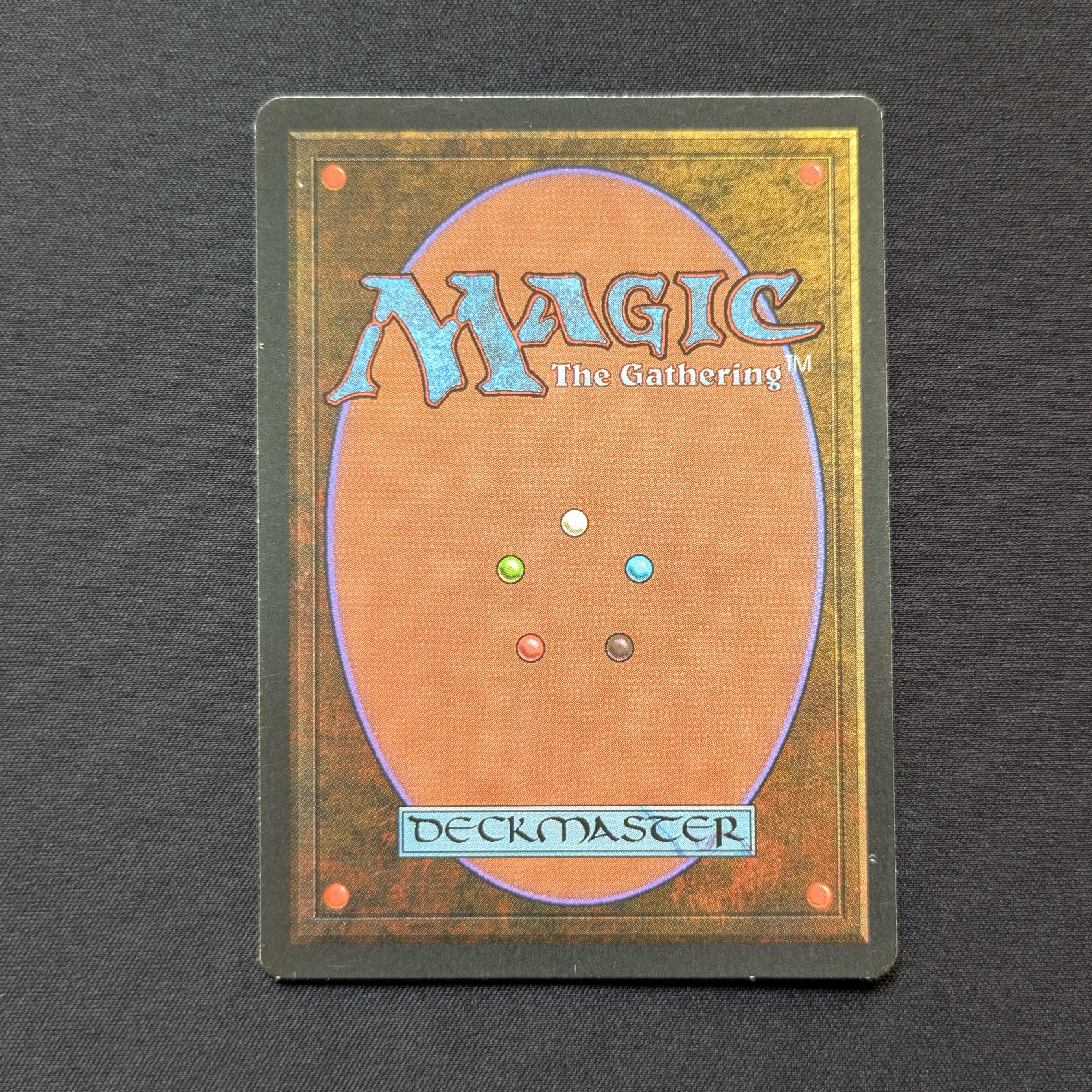 MTG Singles - Tundra - Foreign Black Bordered - 