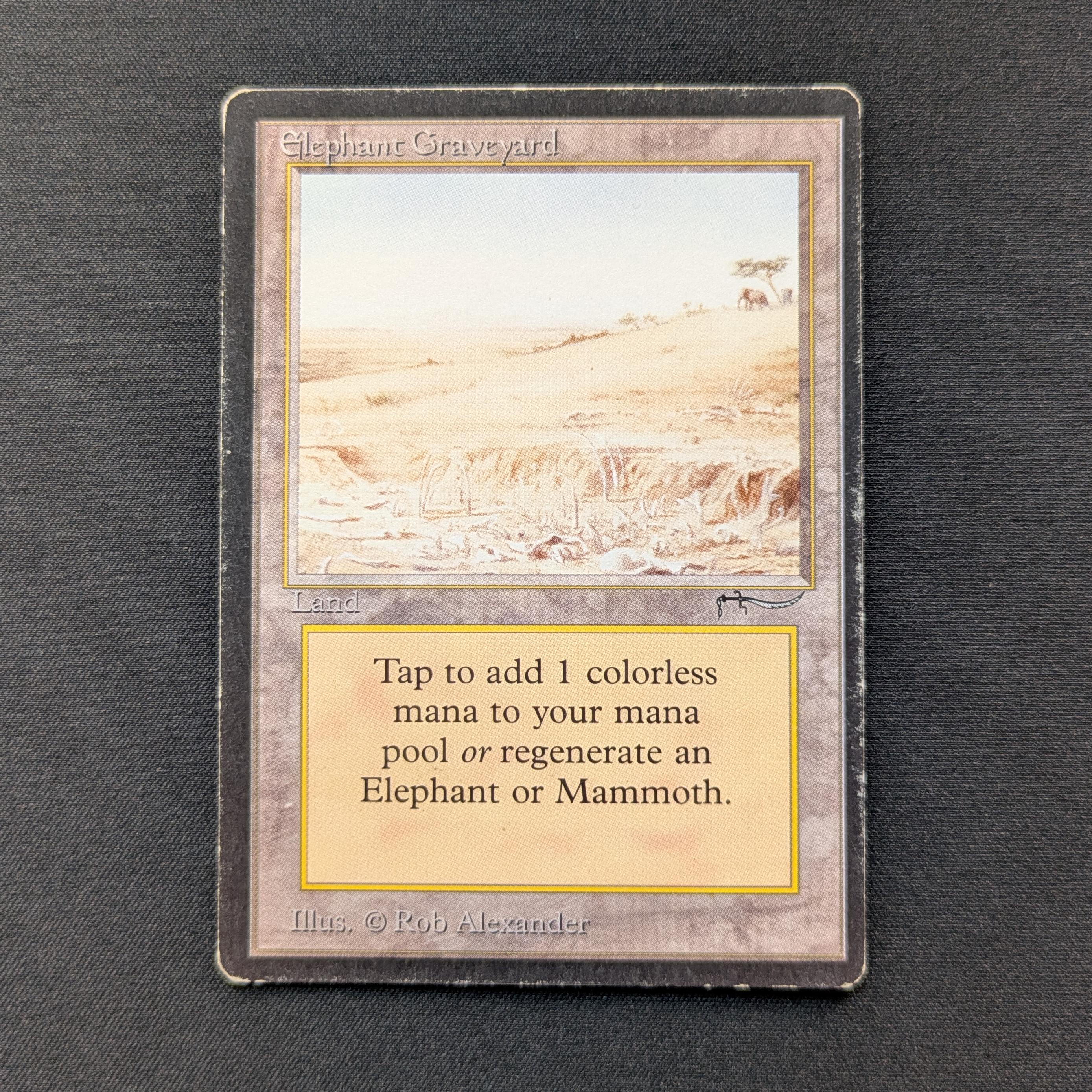 MTG Singles - Elephant Graveyard - Arabian Nights - PL - 28994