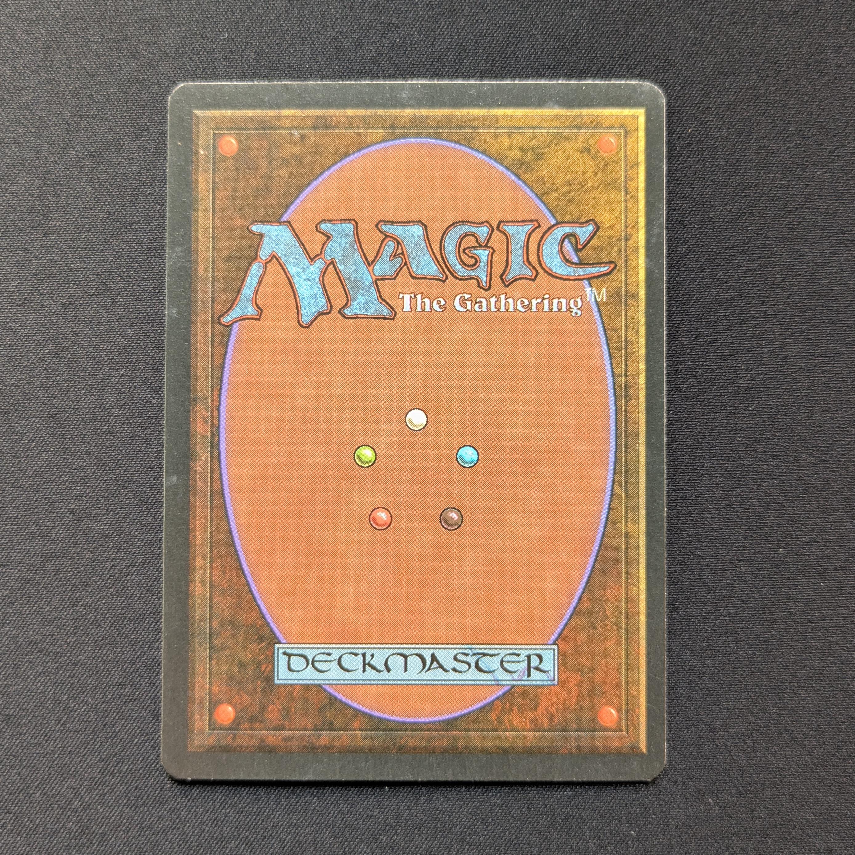 MTG Singles - Taiga - Foreign White Bordered - 